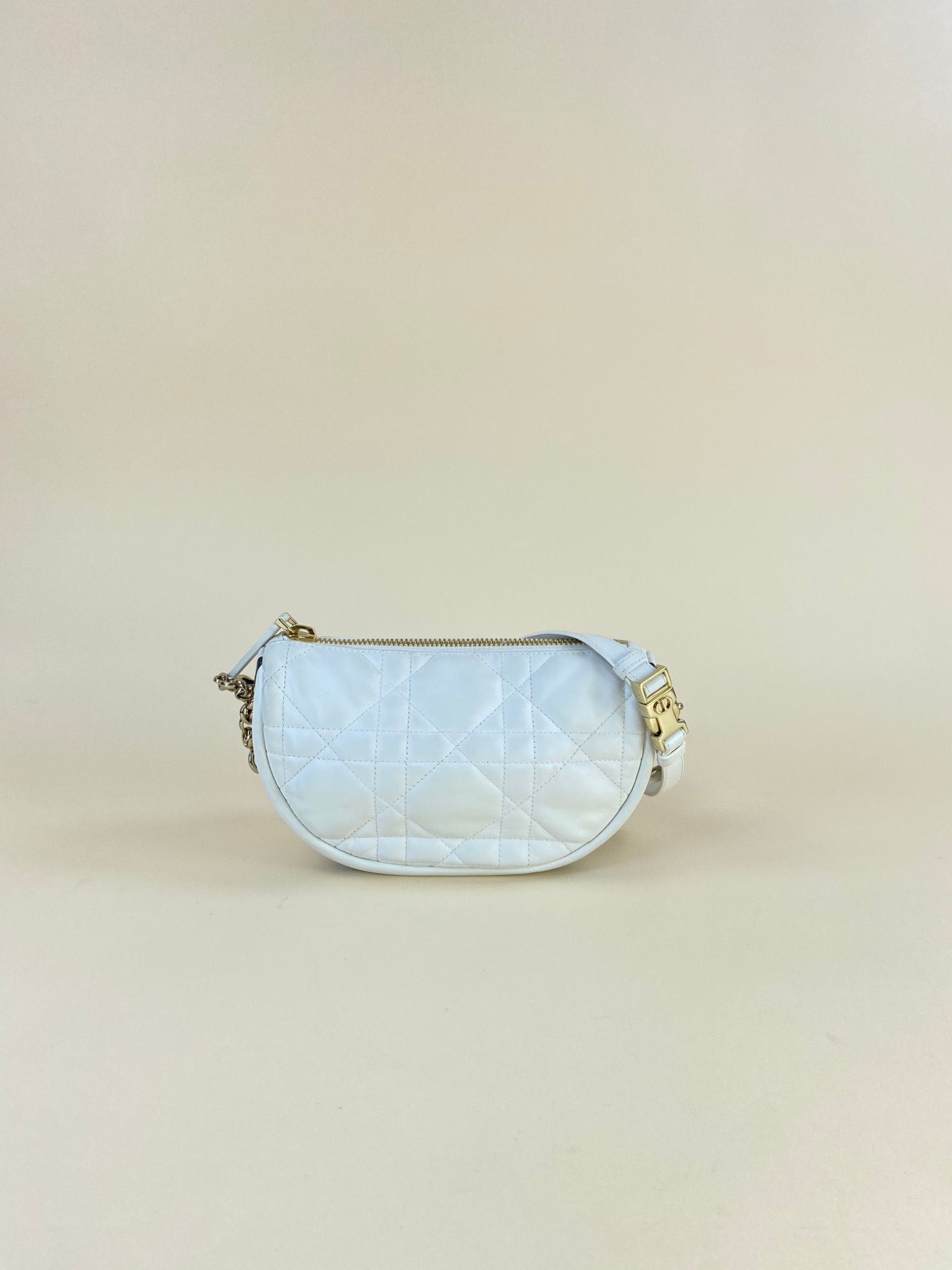 Christian Dior lambskin conga White Vibe Hobo Small Bag