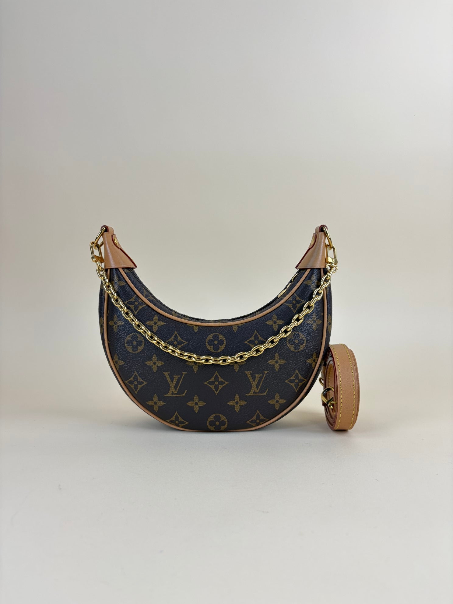 Louis Vuitton Monogram Loop PM Hand Bag