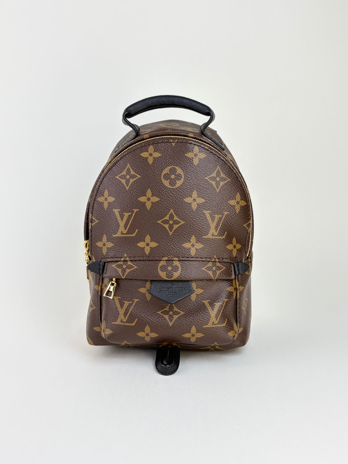 Louis Vuitton Bicolor Palm Springs Mini Backpack Bag