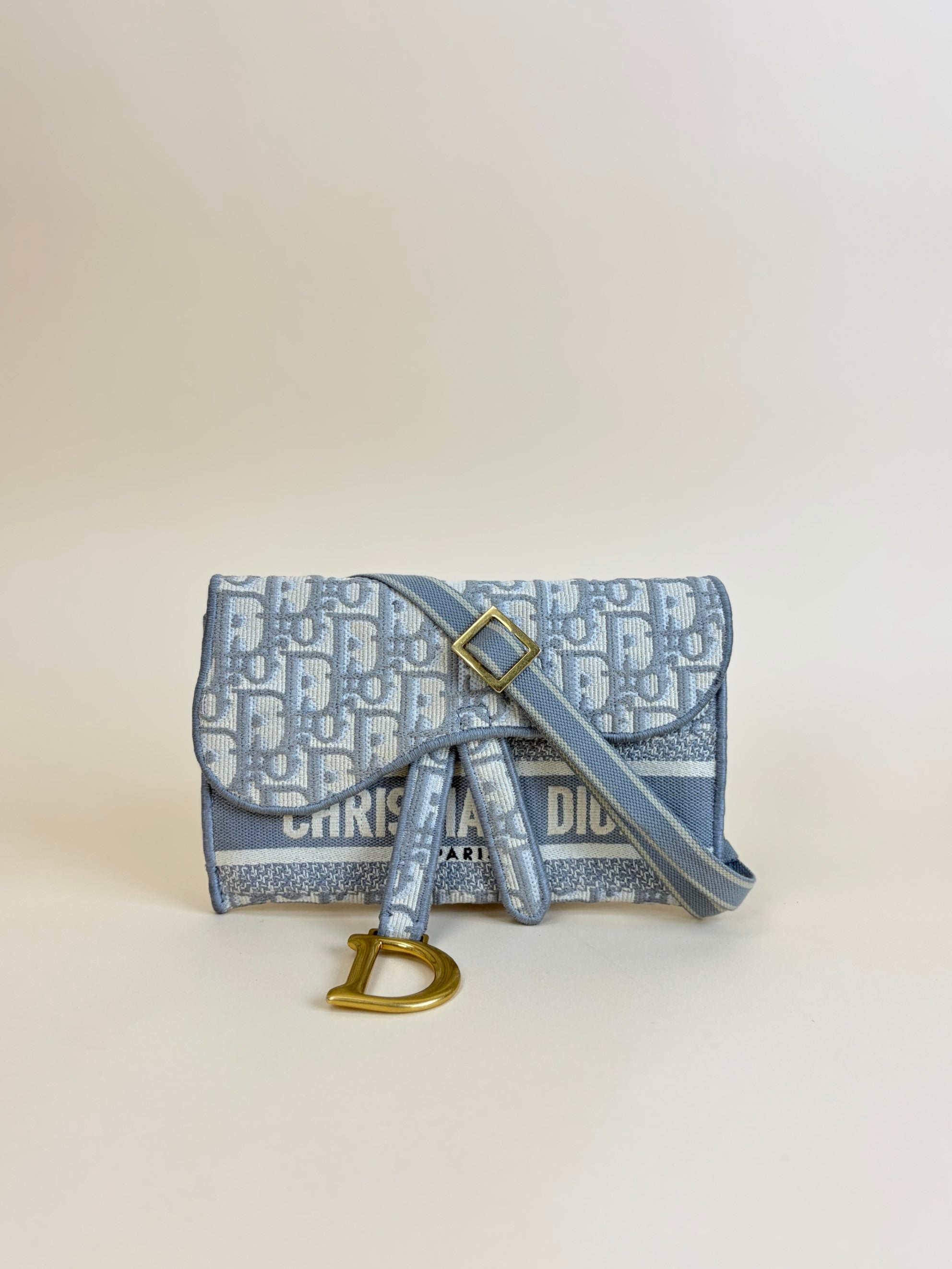 DIOR grey slim saddle pouch