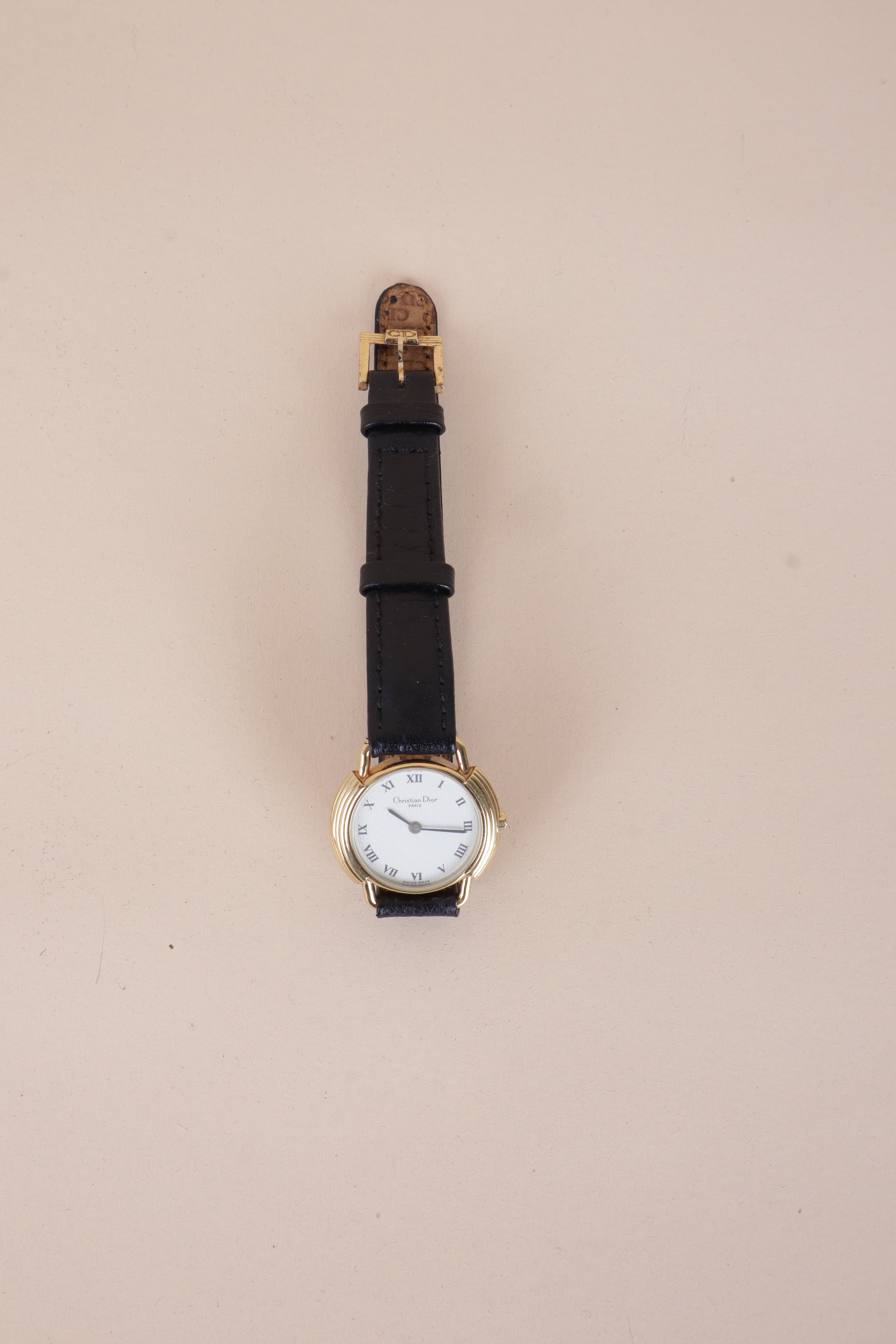 Christian Dior Black Watch