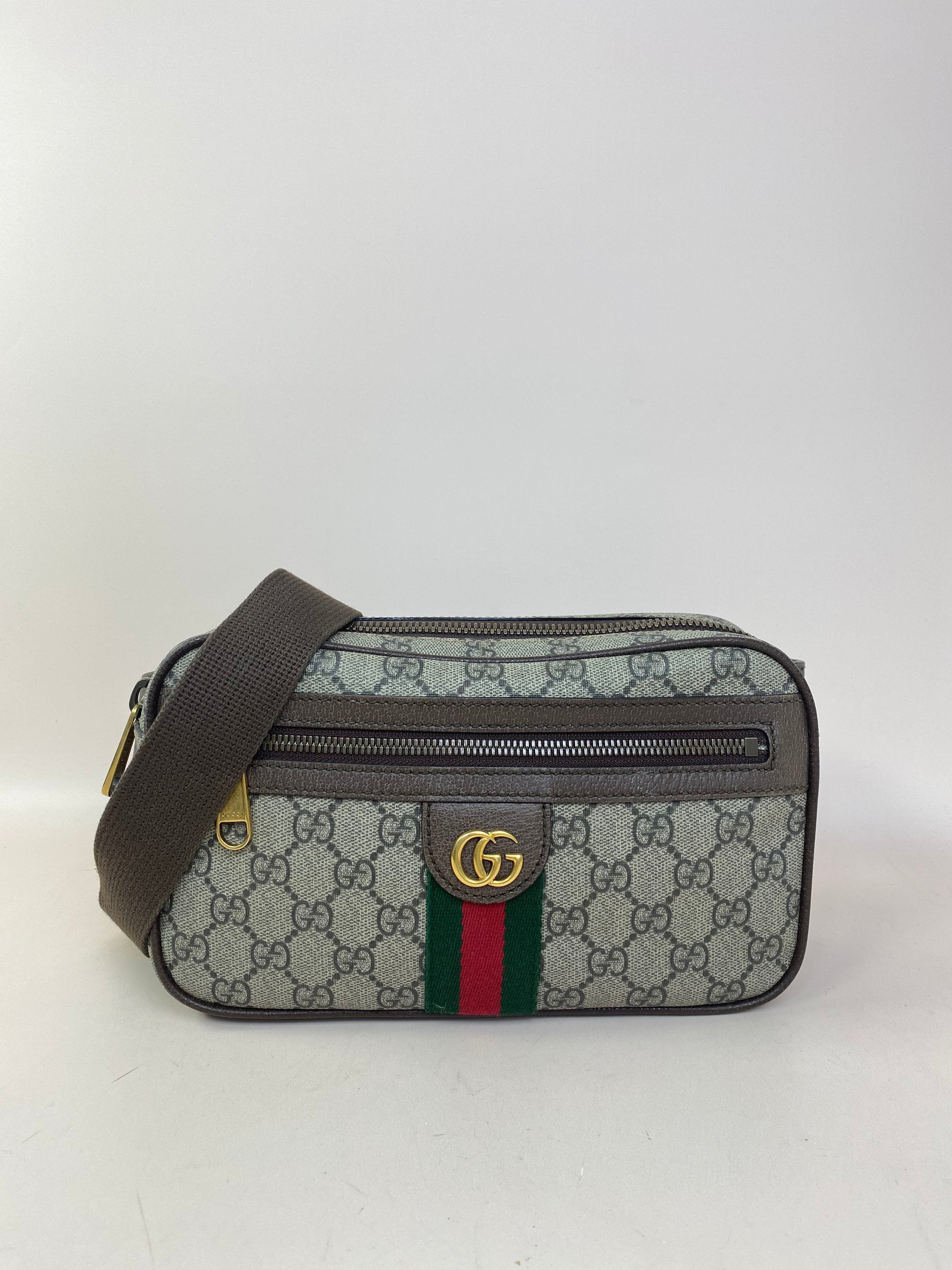Gucci Bicolor GG Ophidia Belt Bag