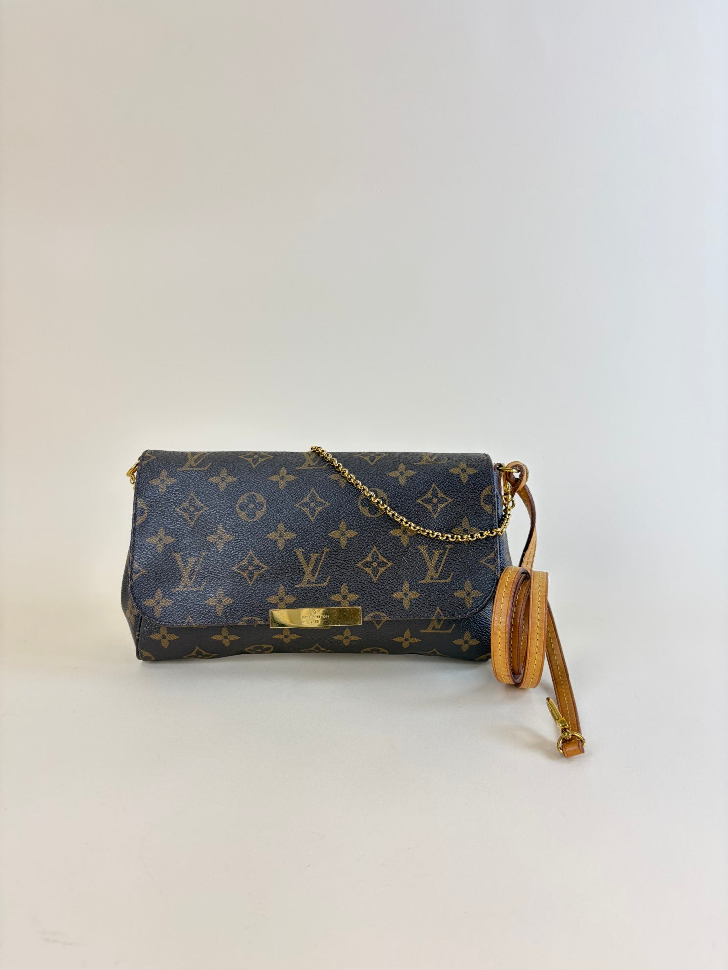 Louis Vuitton Monogram Favorite MM Crossbody Bag