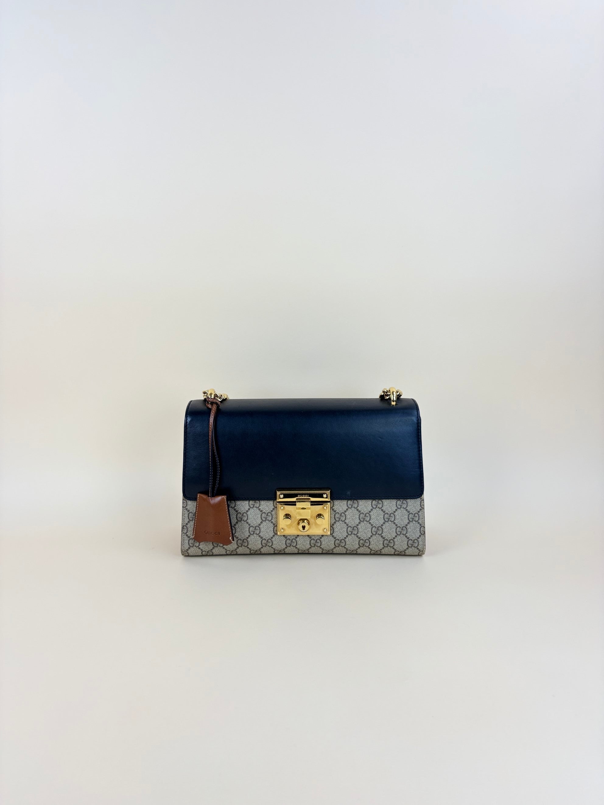 Gucci Bicolor GG Supreme Padlock meduim Bag