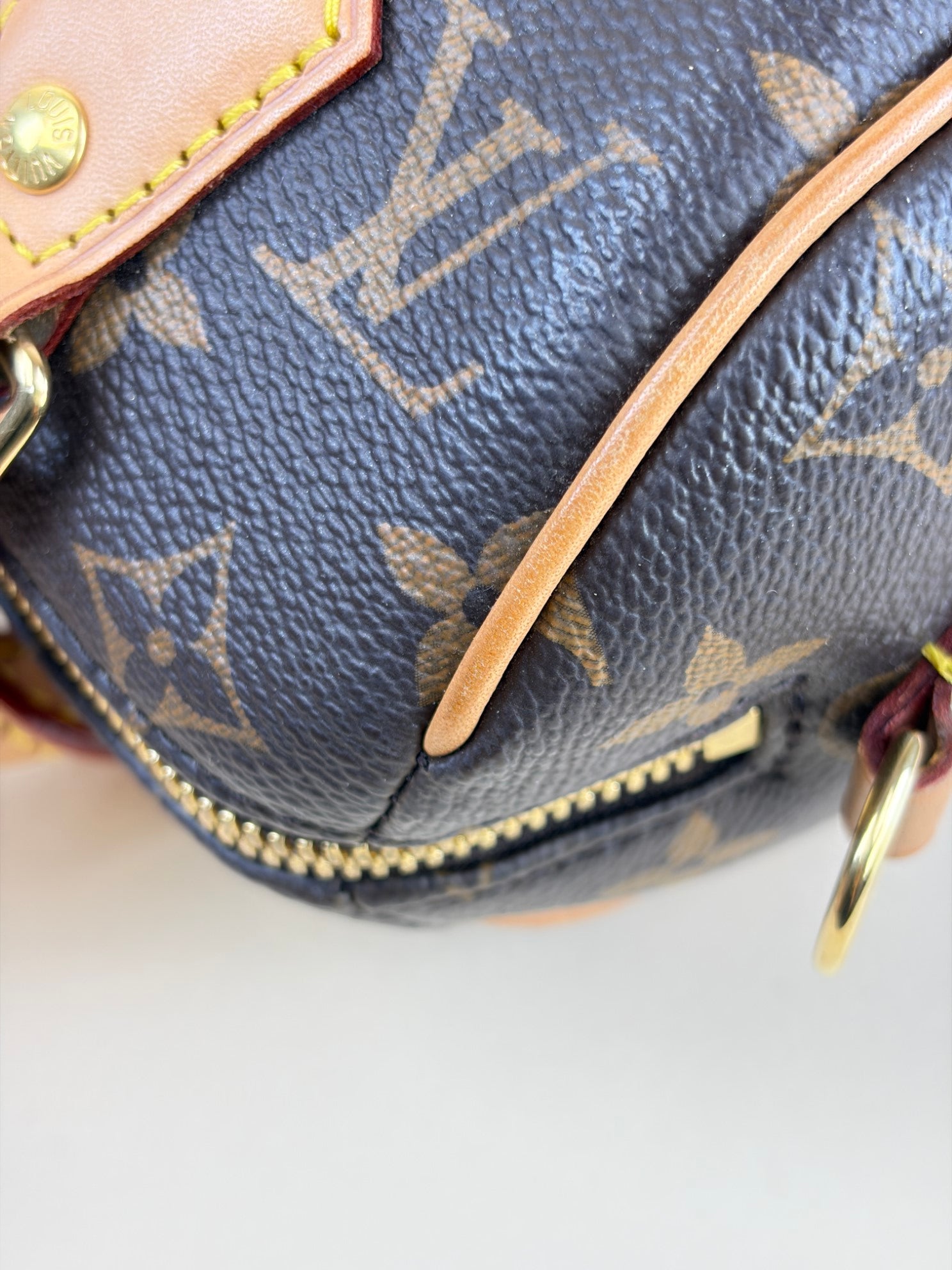 Louis Vuitton Monogram canvas Speedy bandouliere 20tote bag