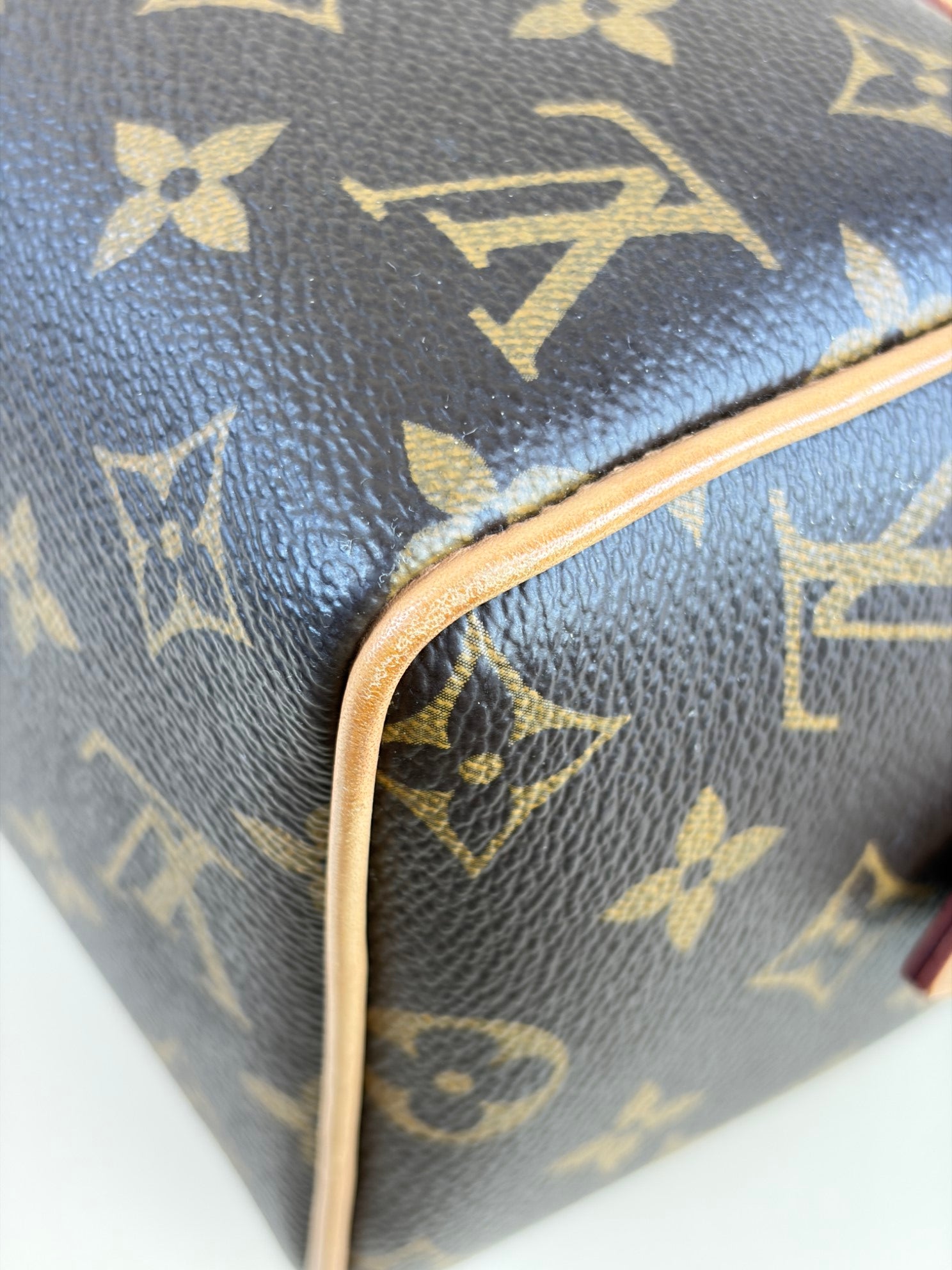 Louis Vuitton Monogram canvas Speedy bandouliere 20tote bag