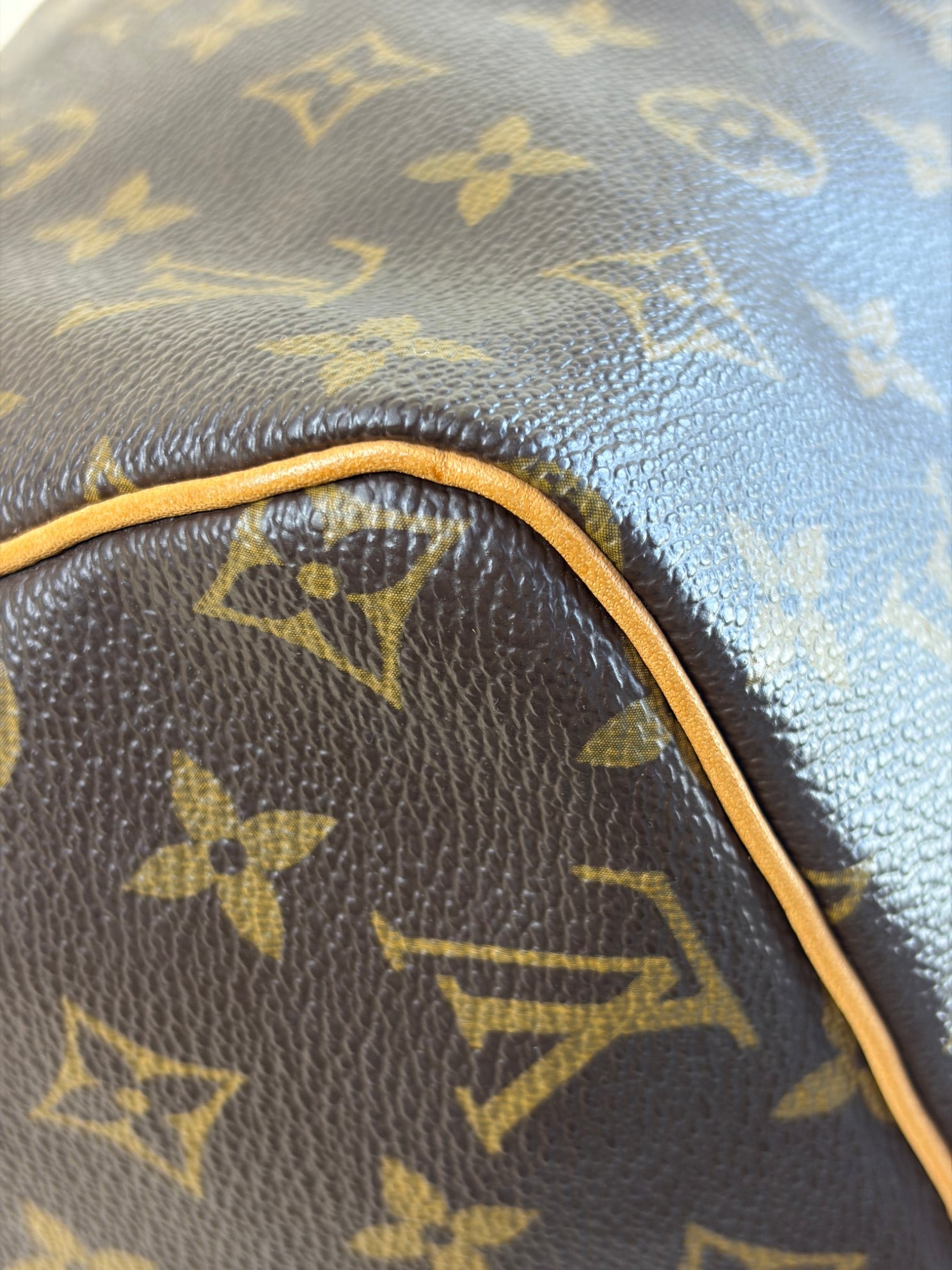 Louis Vuitton speedy 30 monogram