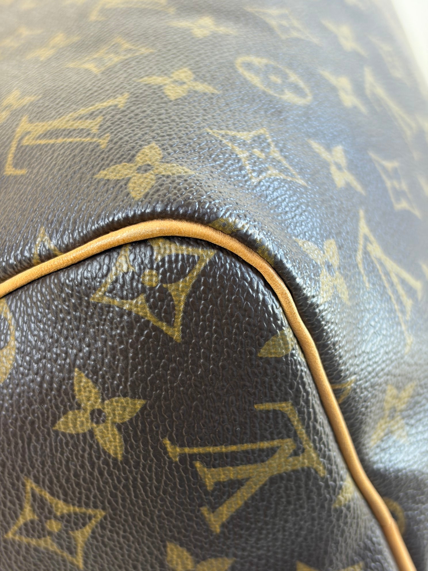 Louis Vuitton speedy 30 monogram