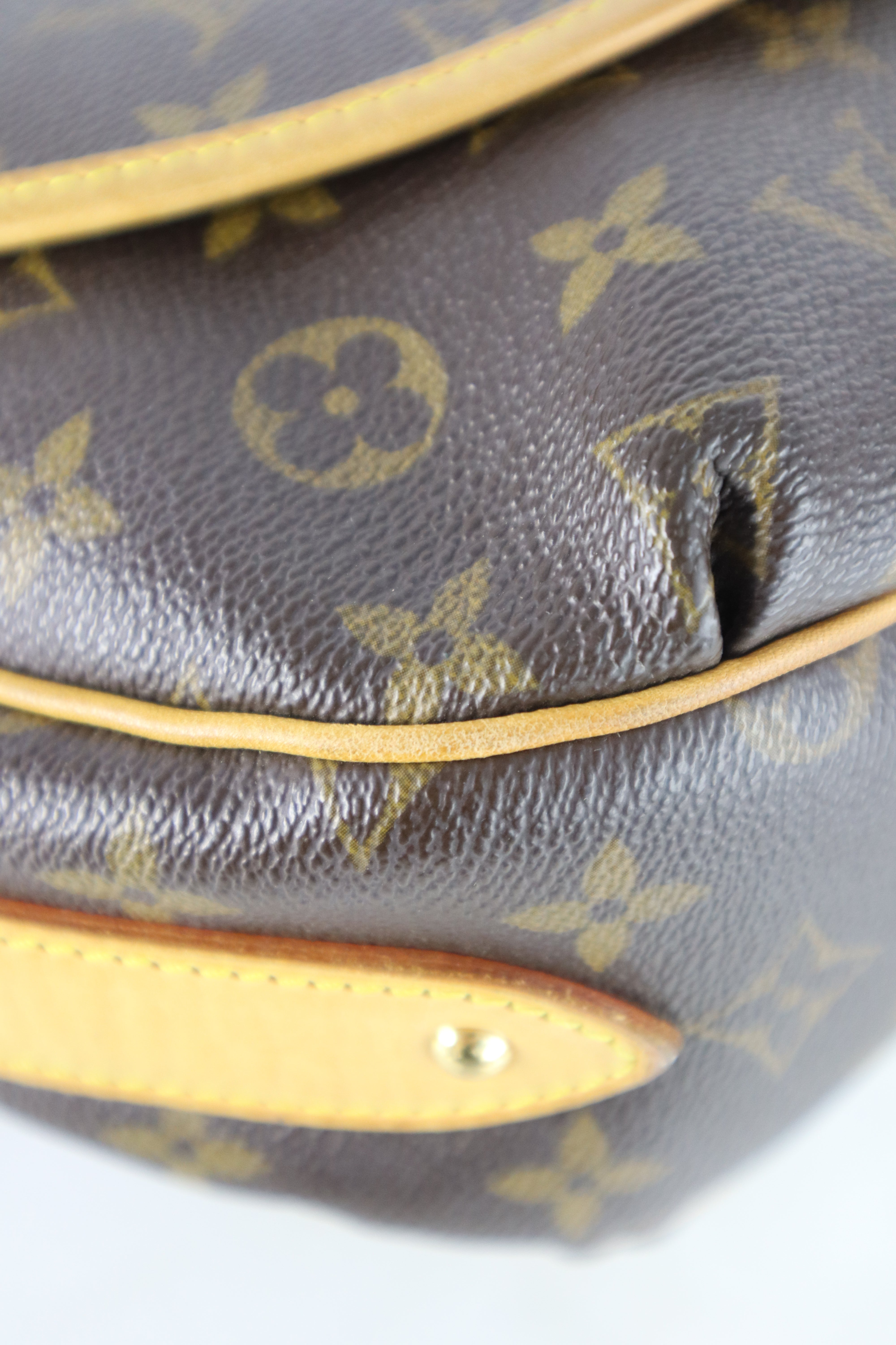 Louis Vuitton Monogram Tulum PM Shoulder Bag