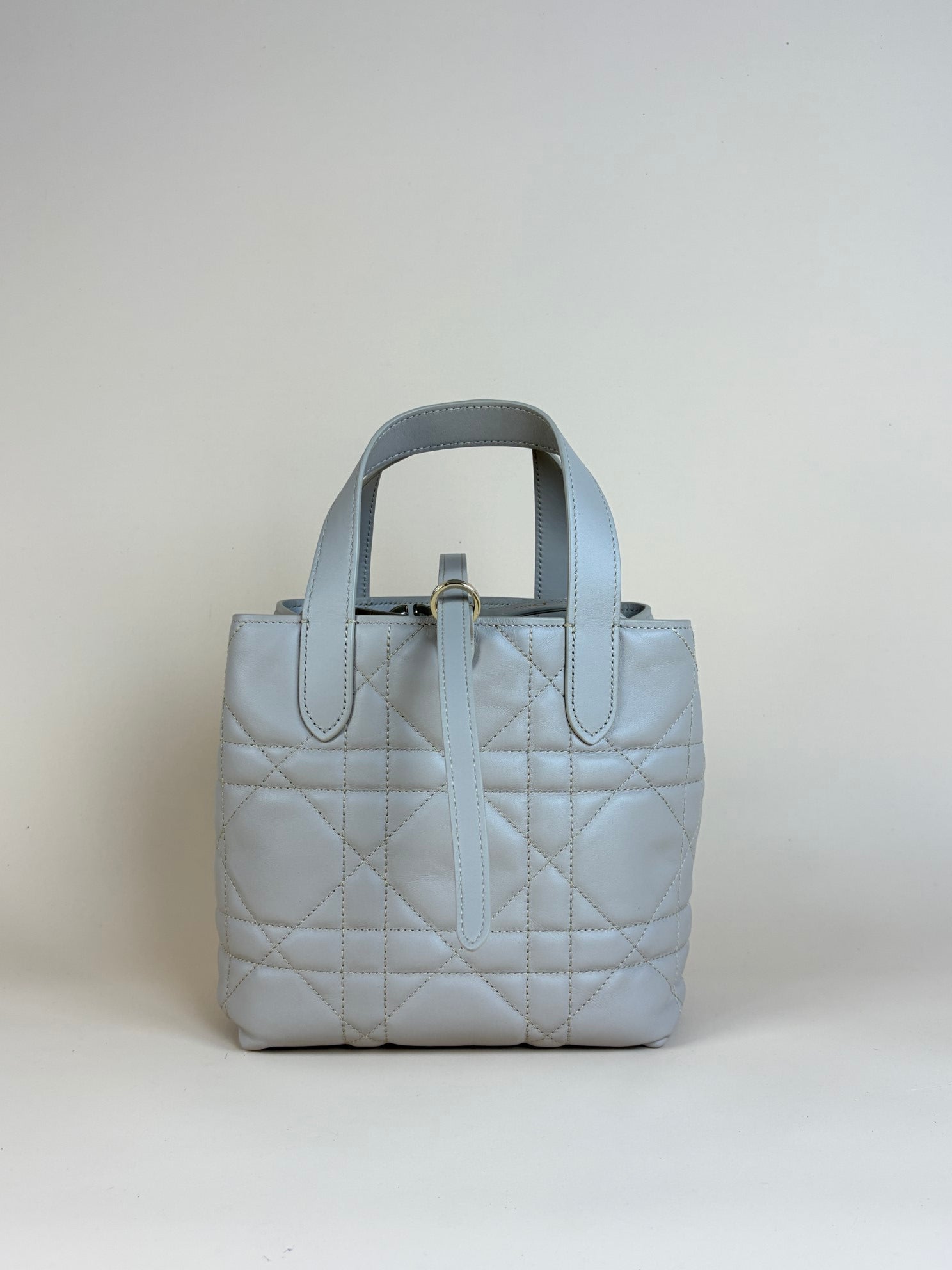 Christian Dior Small Toujours Vertical Tote Bag w/ Strap