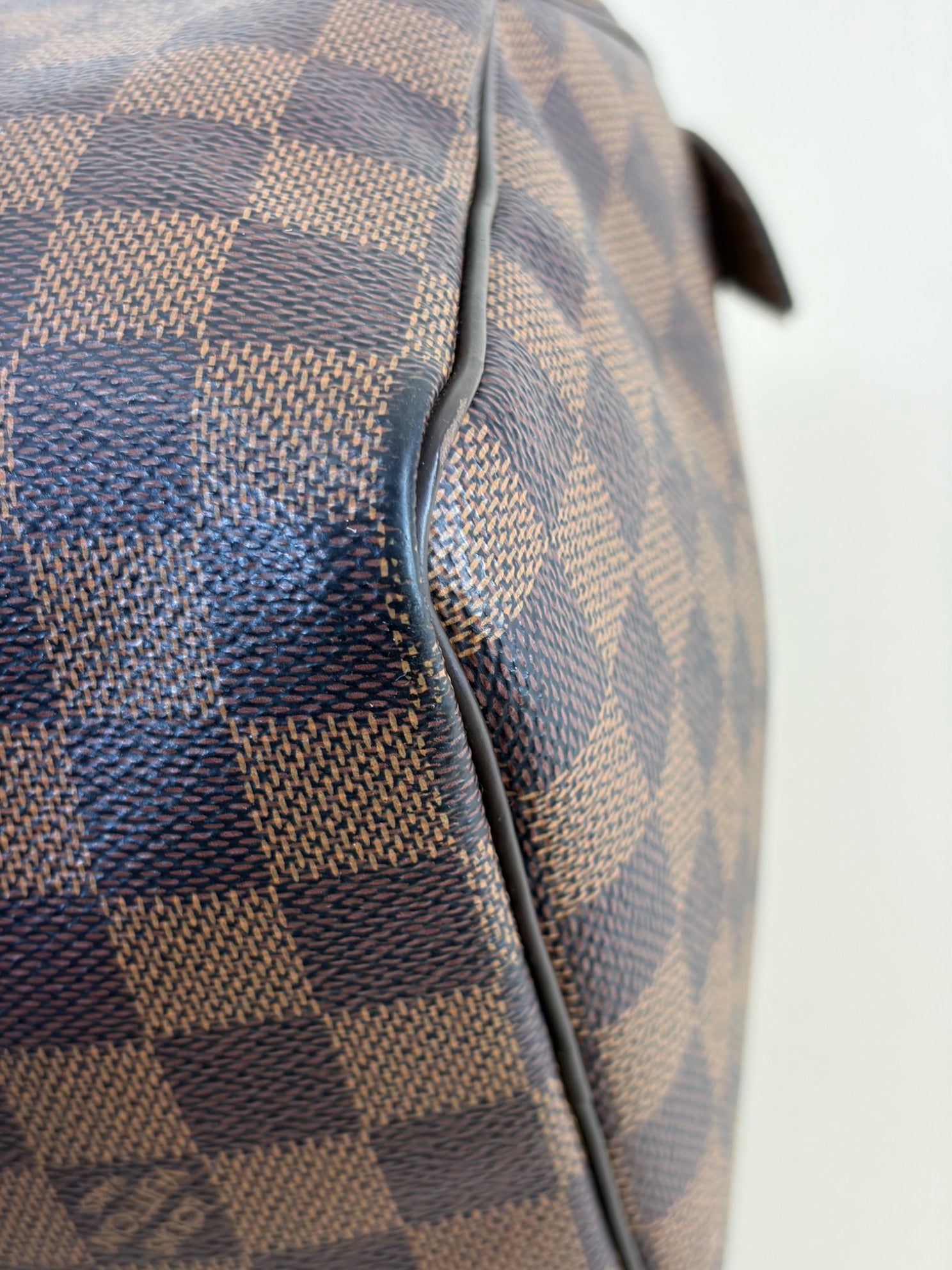 Louis Vuitton Damier Ebene Speedy 25 Bag