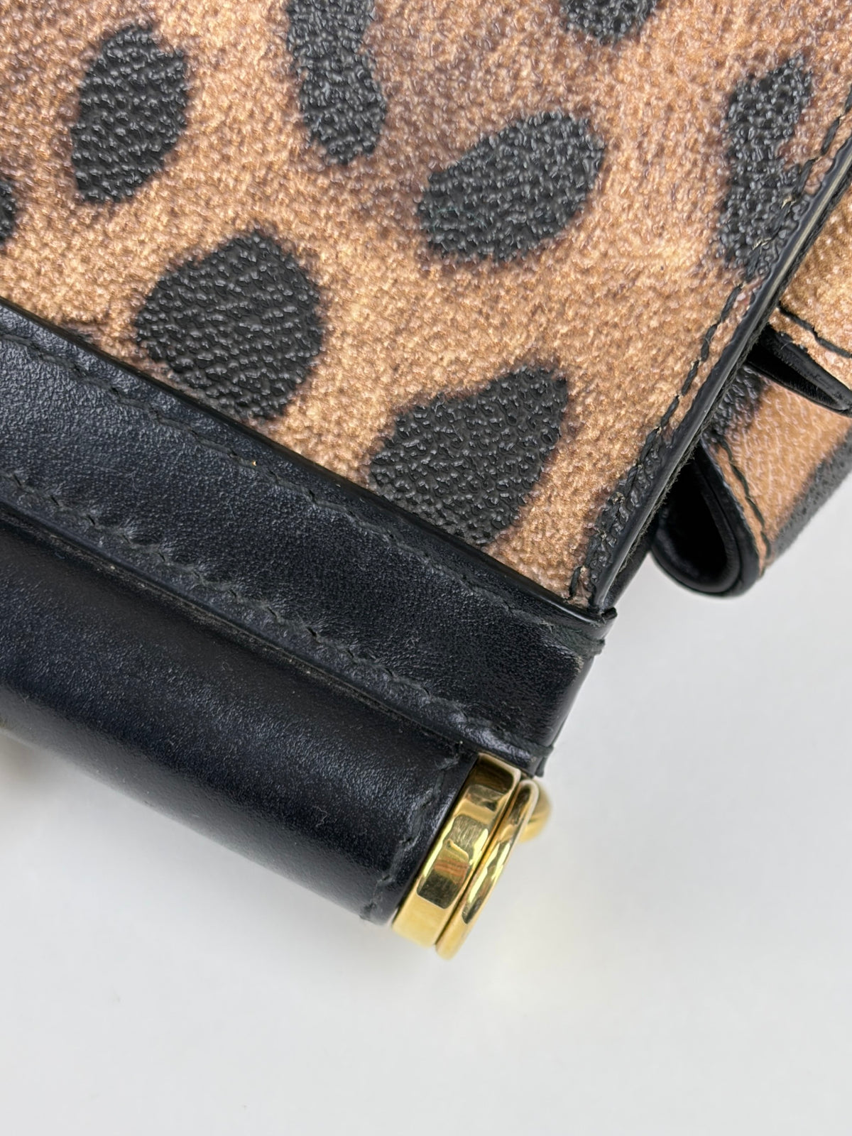 Dolce & Gabbana miss Sicily family patch leopard medium bag