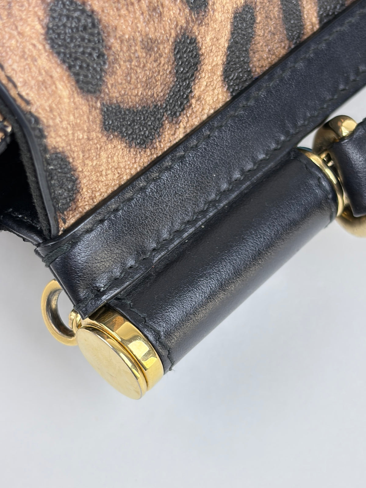 Dolce & Gabbana miss Sicily family patch leopard medium bag