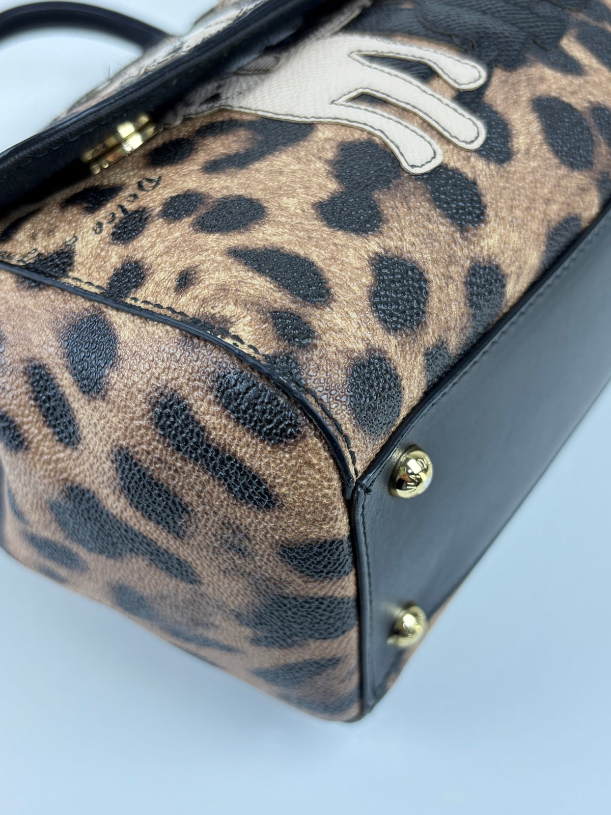 Dolce & Gabbana miss Sicily family patch leopard medium bag