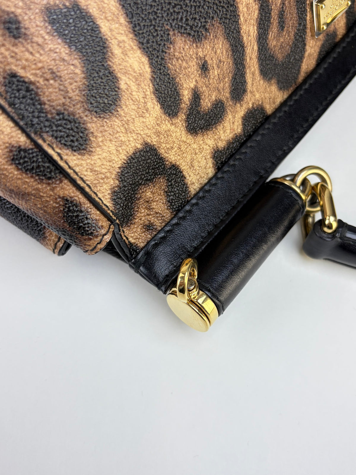 Dolce & Gabbana miss Sicily family patch leopard medium bag