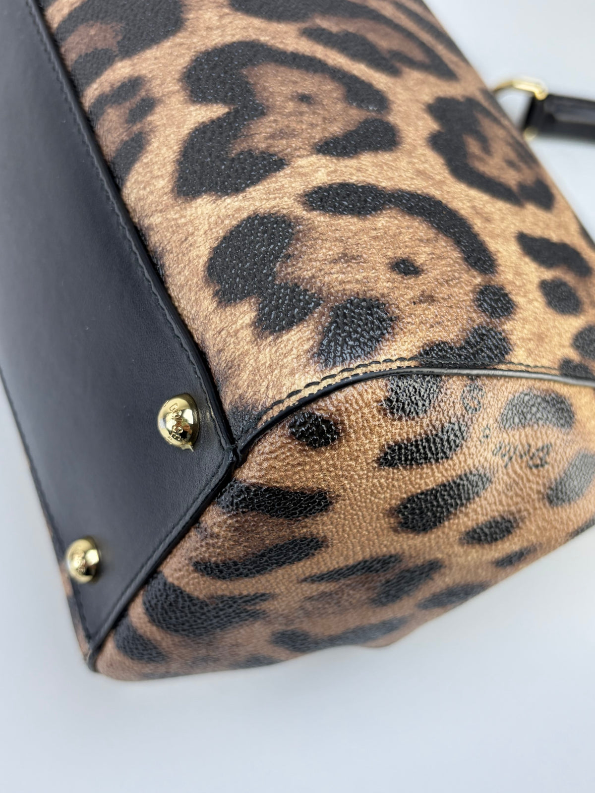 Dolce & Gabbana miss Sicily family patch leopard medium bag