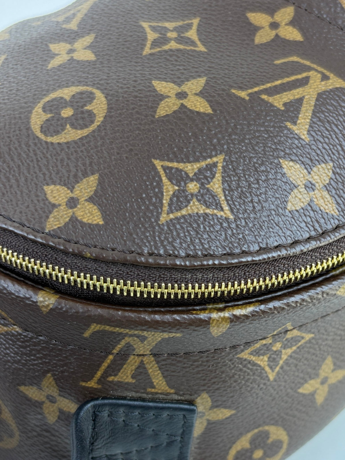 Louis Vuitton Bicolor Palm Springs Mini Backpack Bag