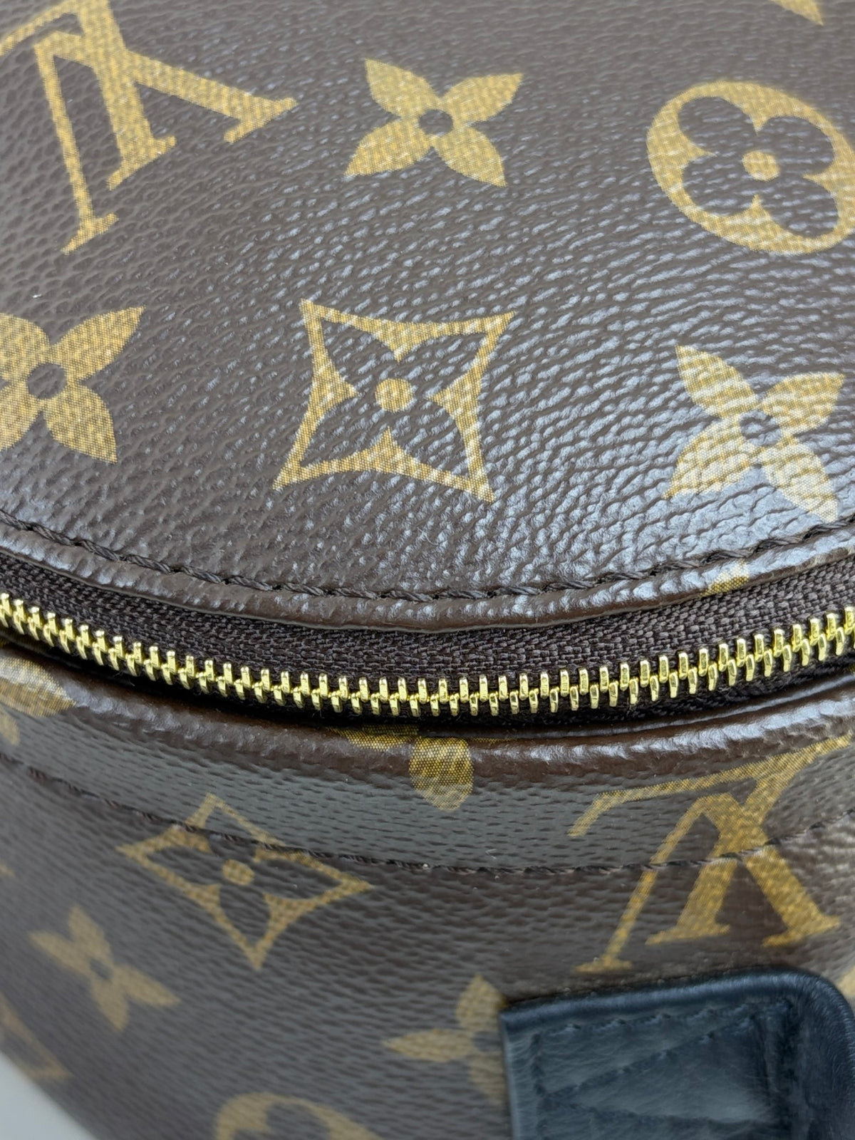 Louis Vuitton Bicolor Palm Springs Mini Backpack Bag