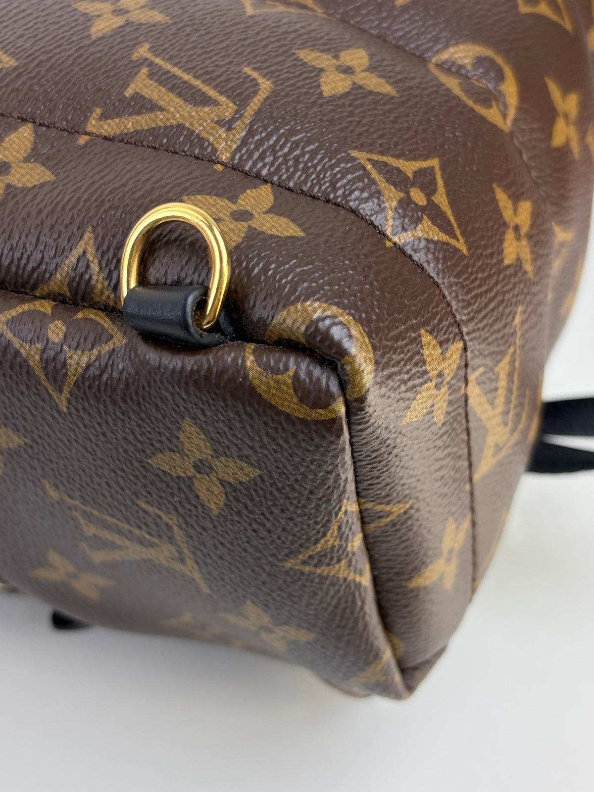 Louis Vuitton Bicolor Palm Springs Mini Backpack Bag