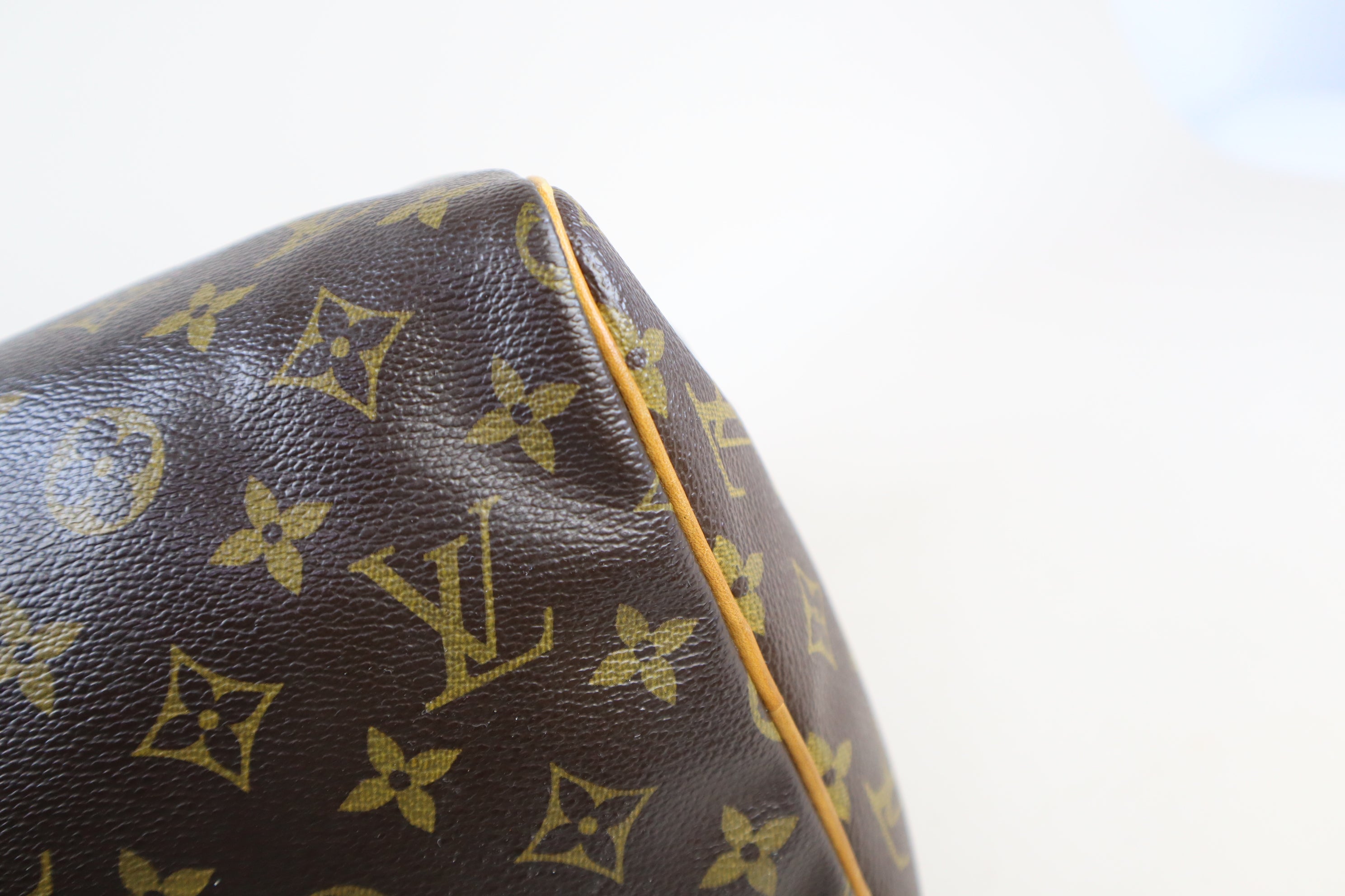 Louis Vuitton Monogram Speedy 30 Tote Bag
