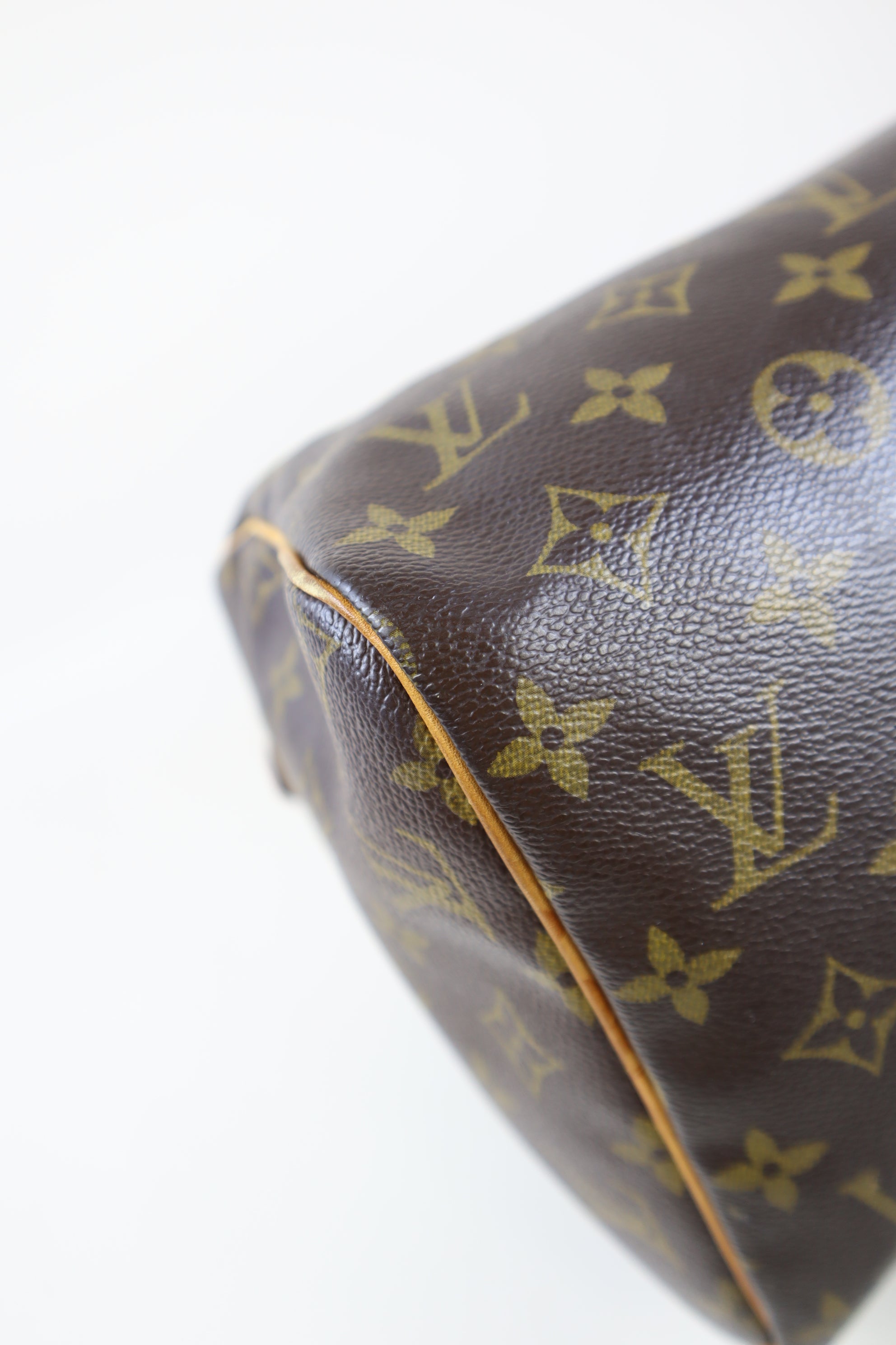 Louis Vuitton Monogram Speedy 30 Tote Bag