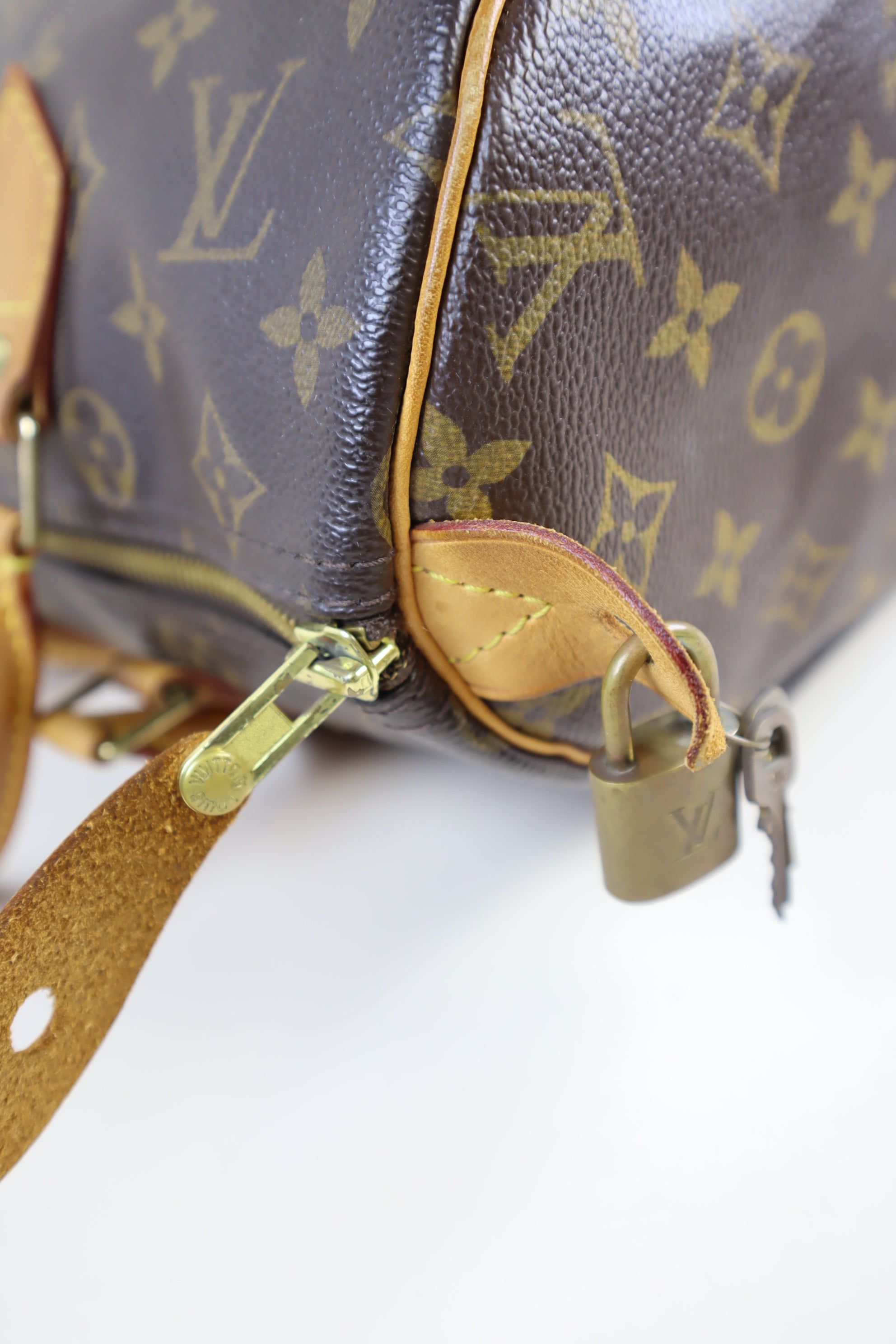 Louis Vuitton Monogram Speedy 30 Tote Bag