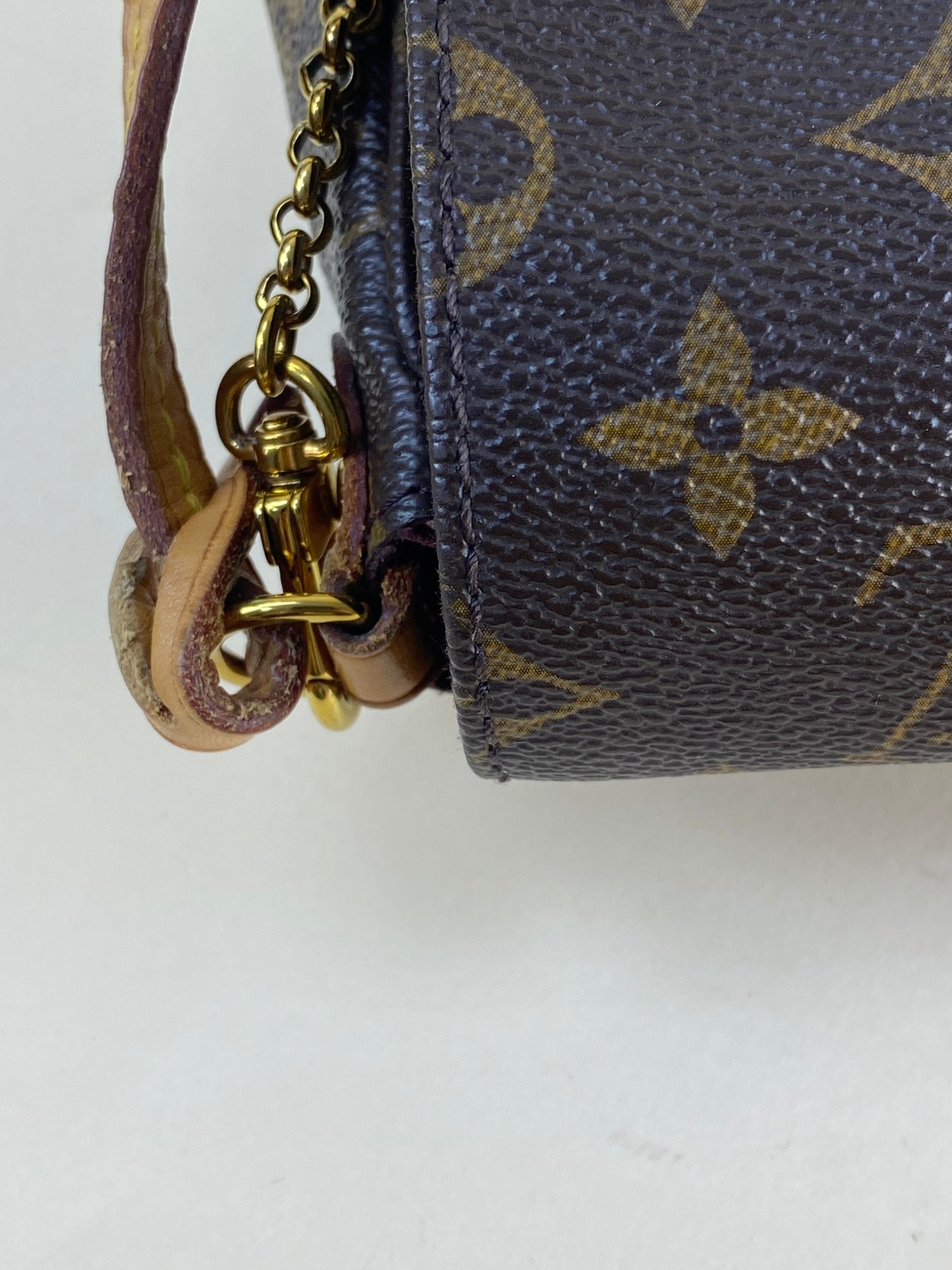 Louis Vuitton Monogram Favorite MM Crossbody Bag