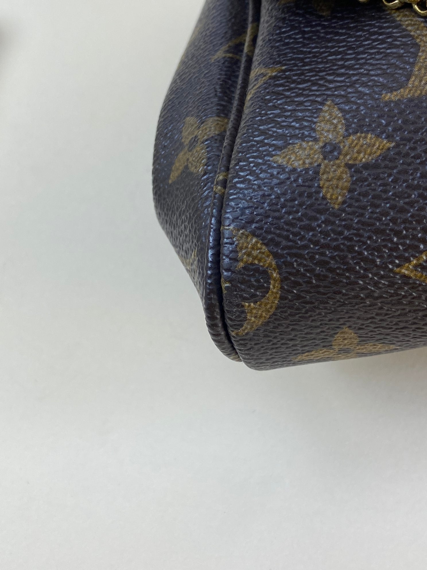 Louis Vuitton Monogram Favorite MM Crossbody Bag
