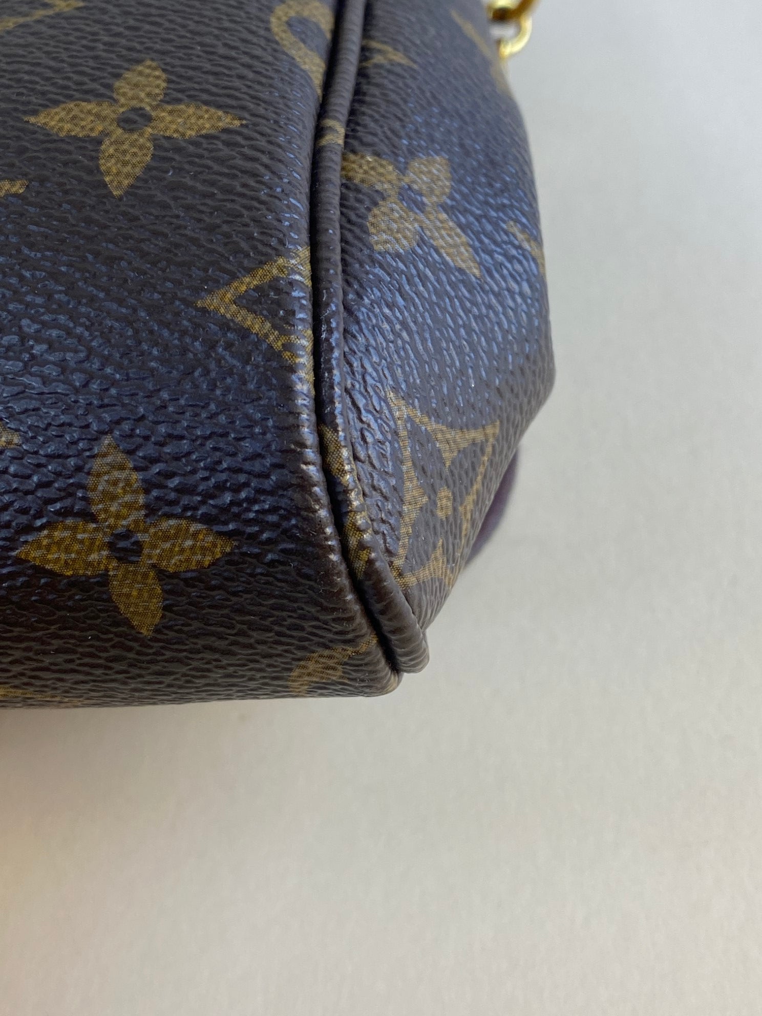 Louis Vuitton Monogram Favorite MM Crossbody Bag