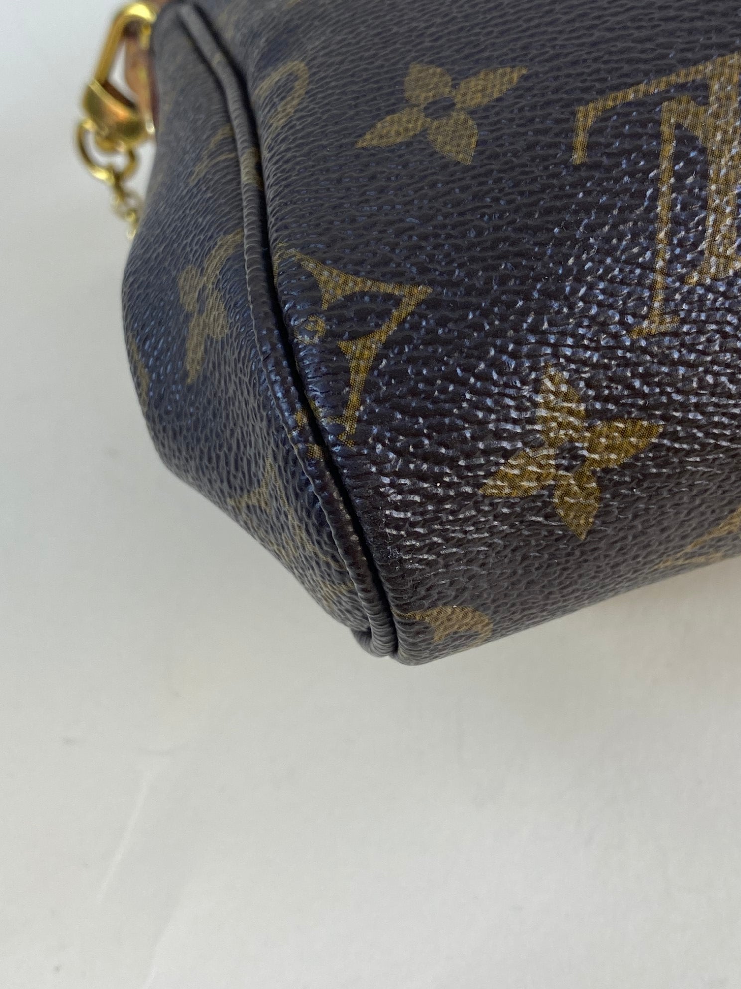 Louis Vuitton Monogram Favorite MM Crossbody Bag