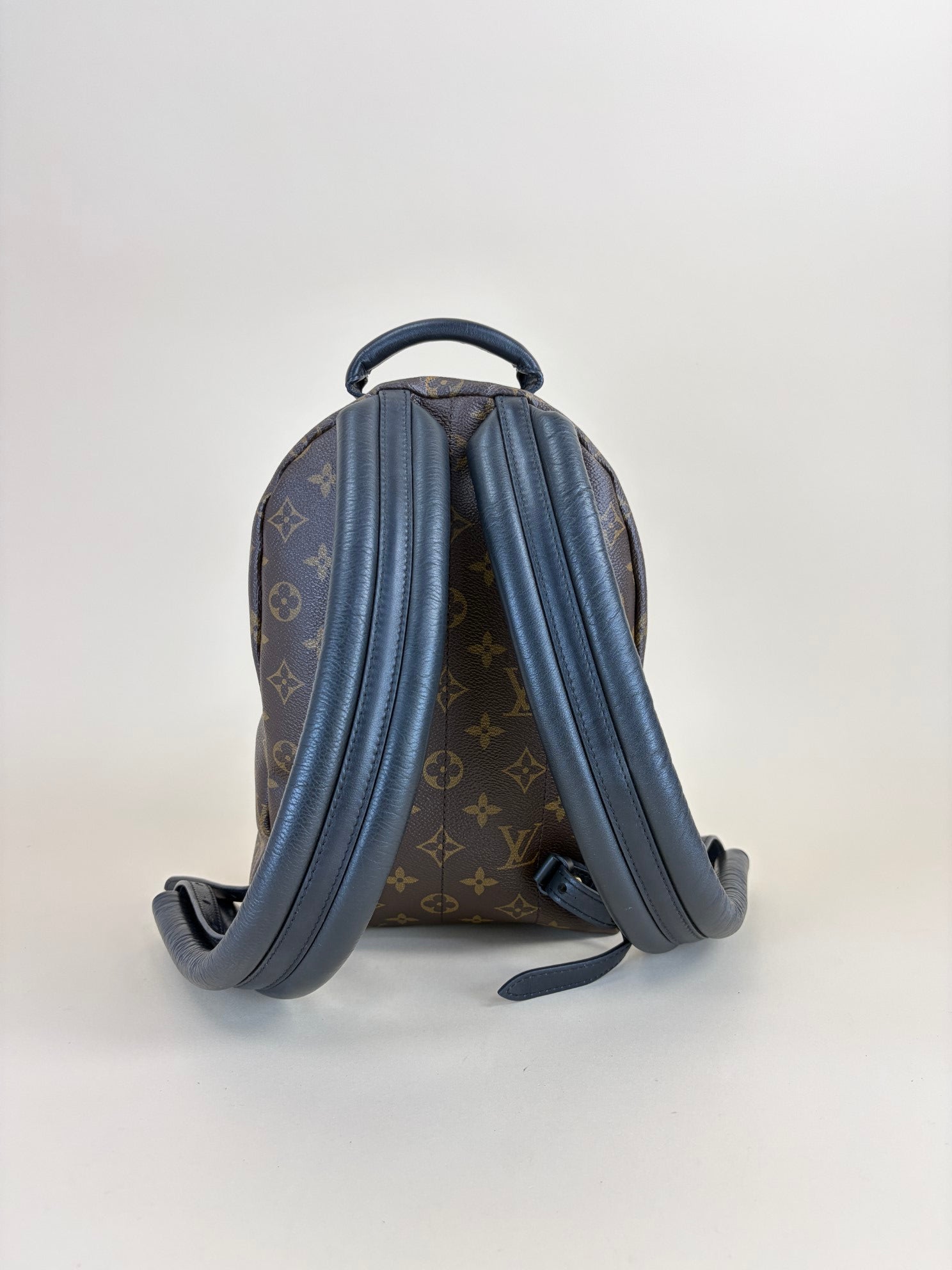 Louis Vuitton Monogram Palm Spring PM BackPack Bag