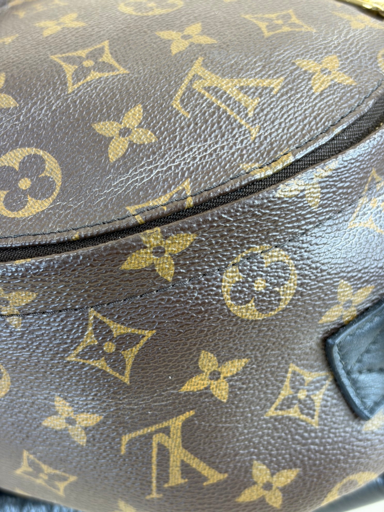 Louis Vuitton Monogram Palm Spring PM BackPack Bag