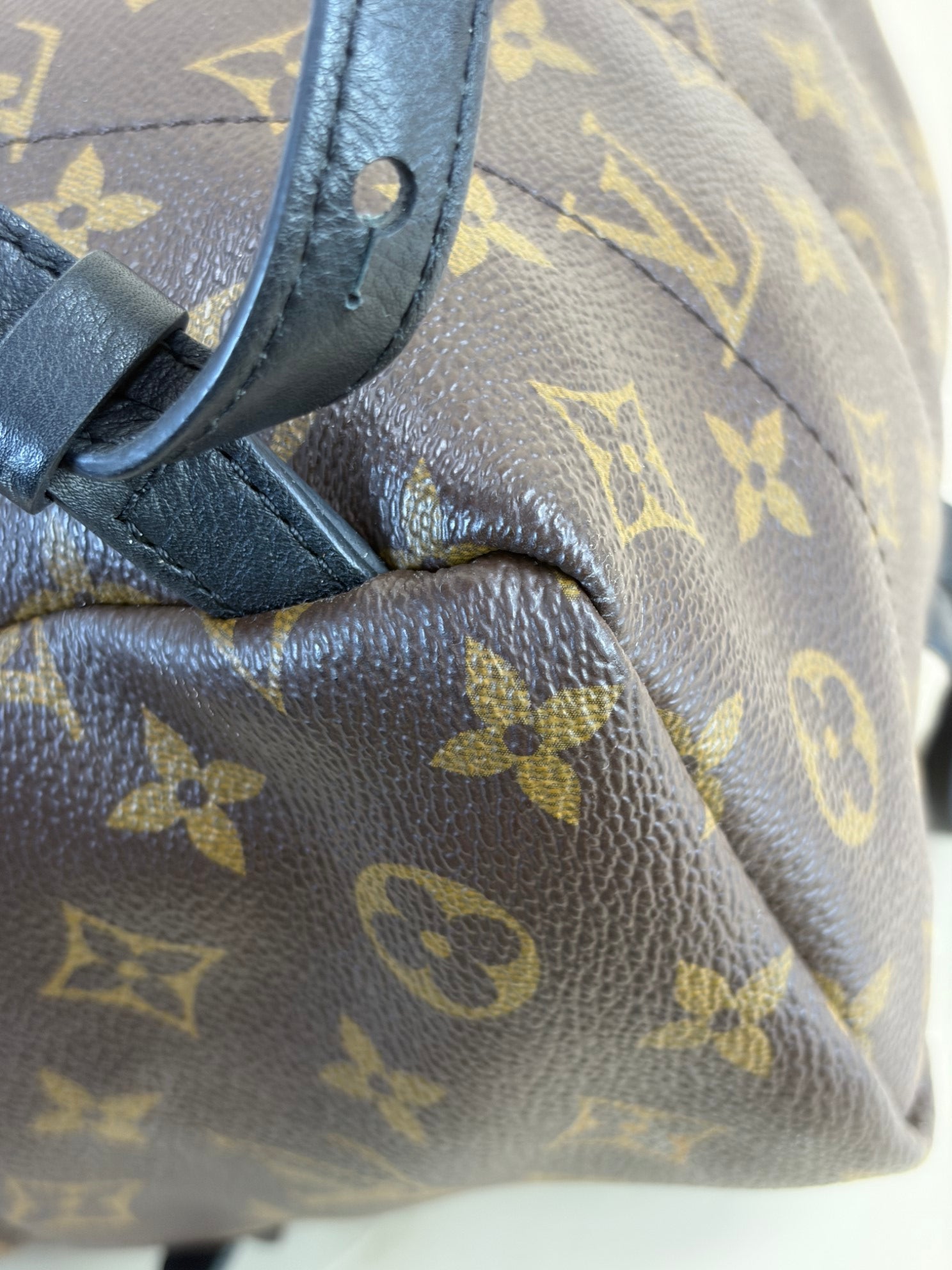 Louis Vuitton Monogram Palm Spring PM BackPack Bag