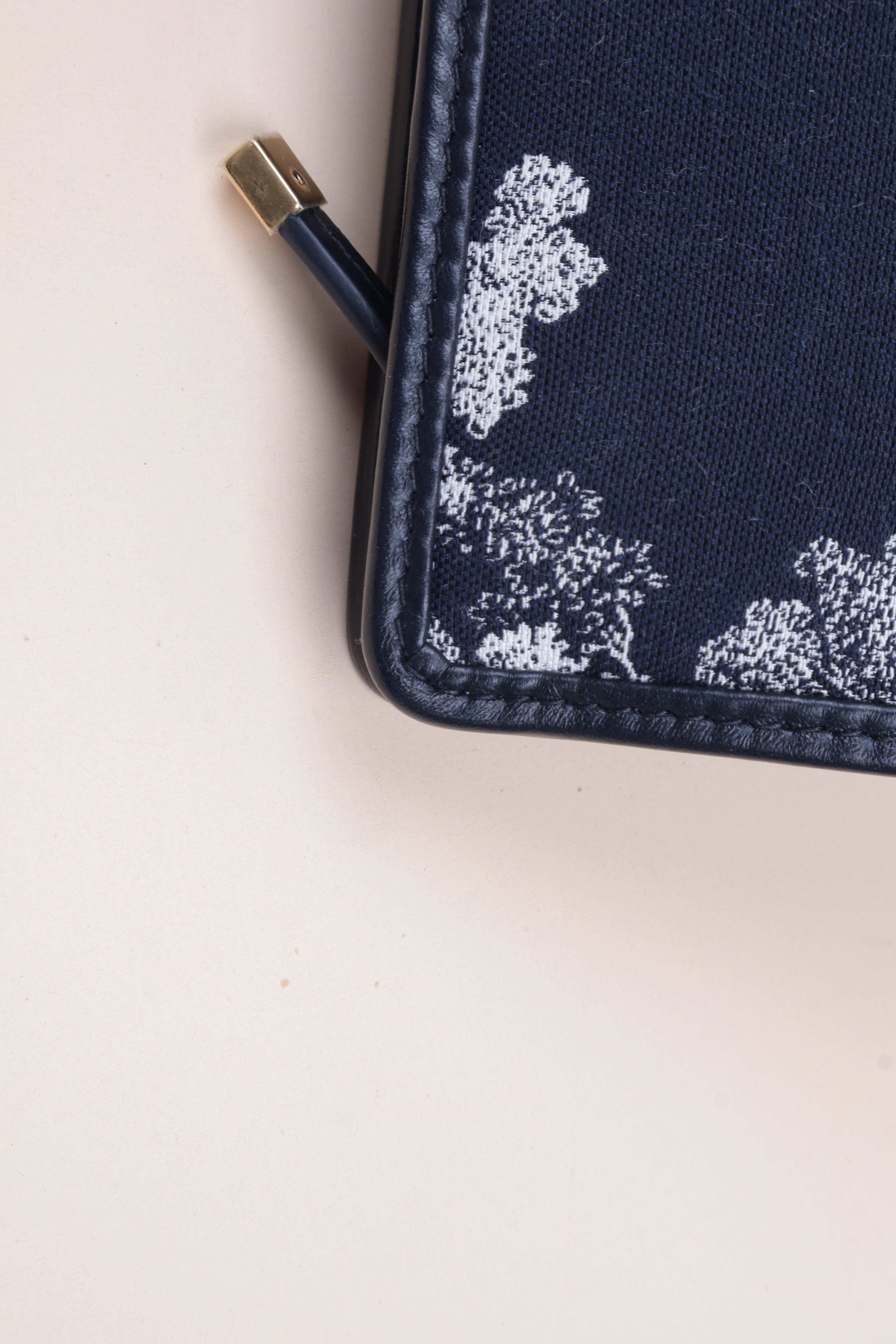 Christian Dior Blue Dea Tiger Montaigne 30 Pouch