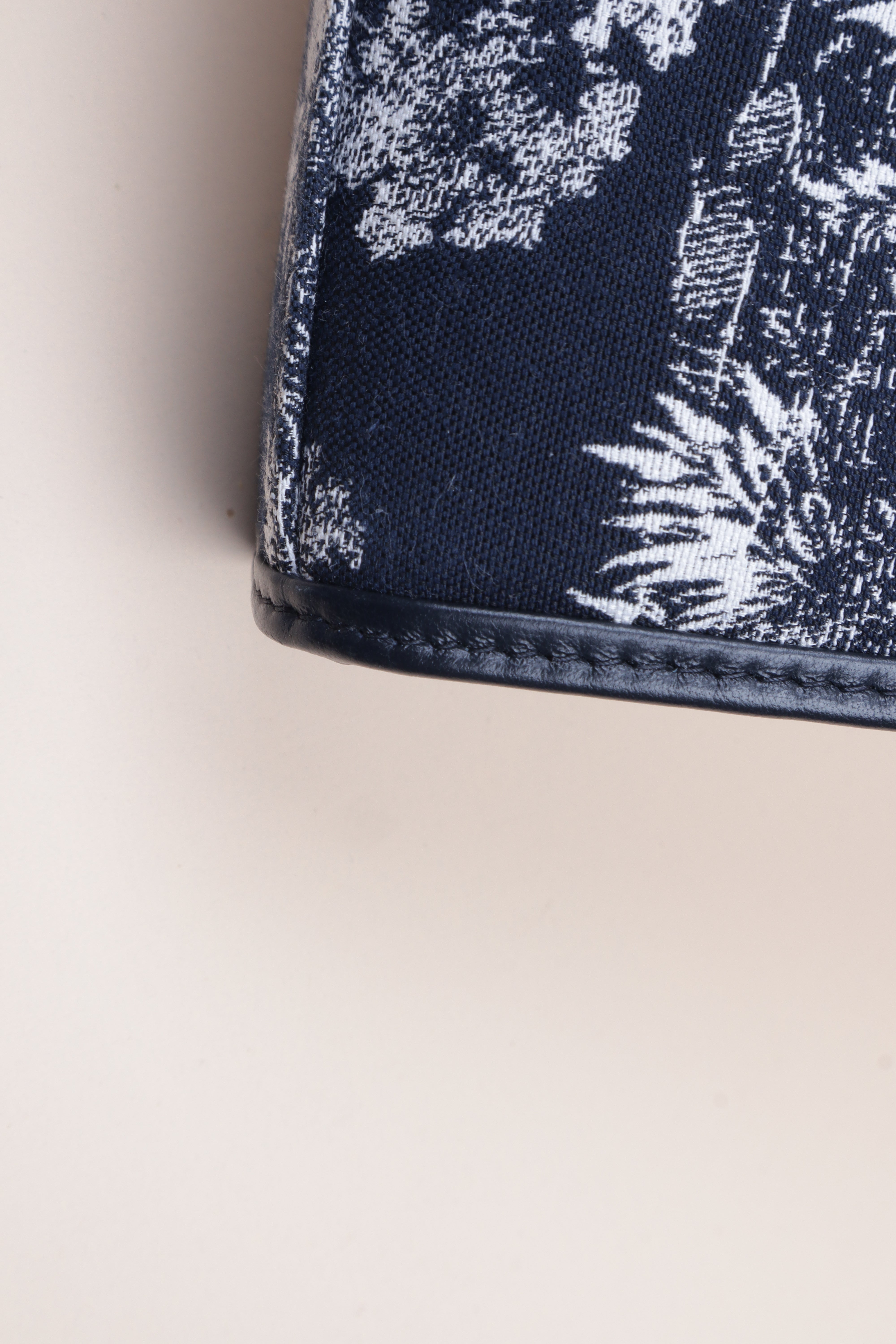 Christian Dior Blue Dea Tiger Montaigne 30 Pouch