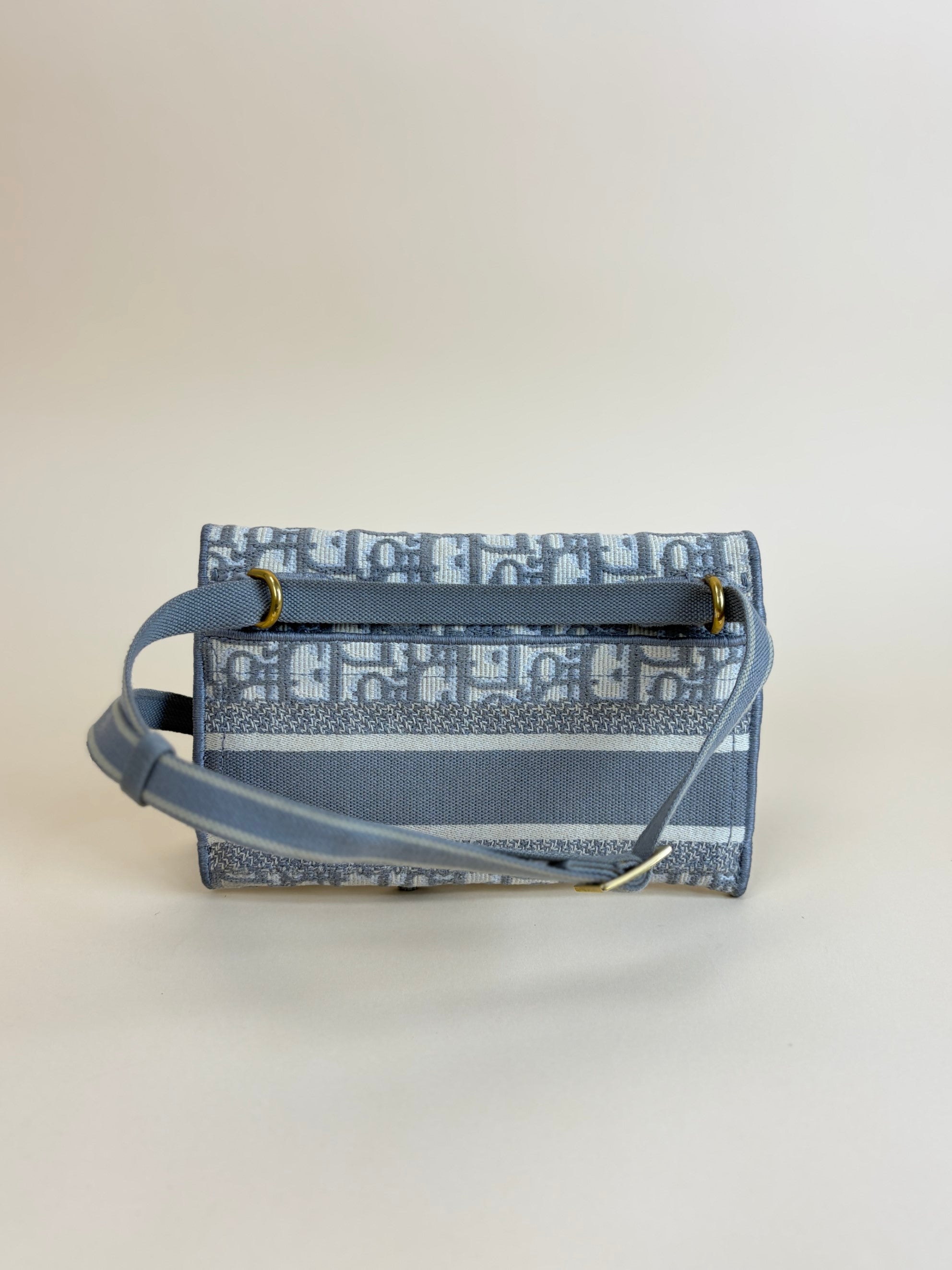 DIOR grey slim saddle pouch