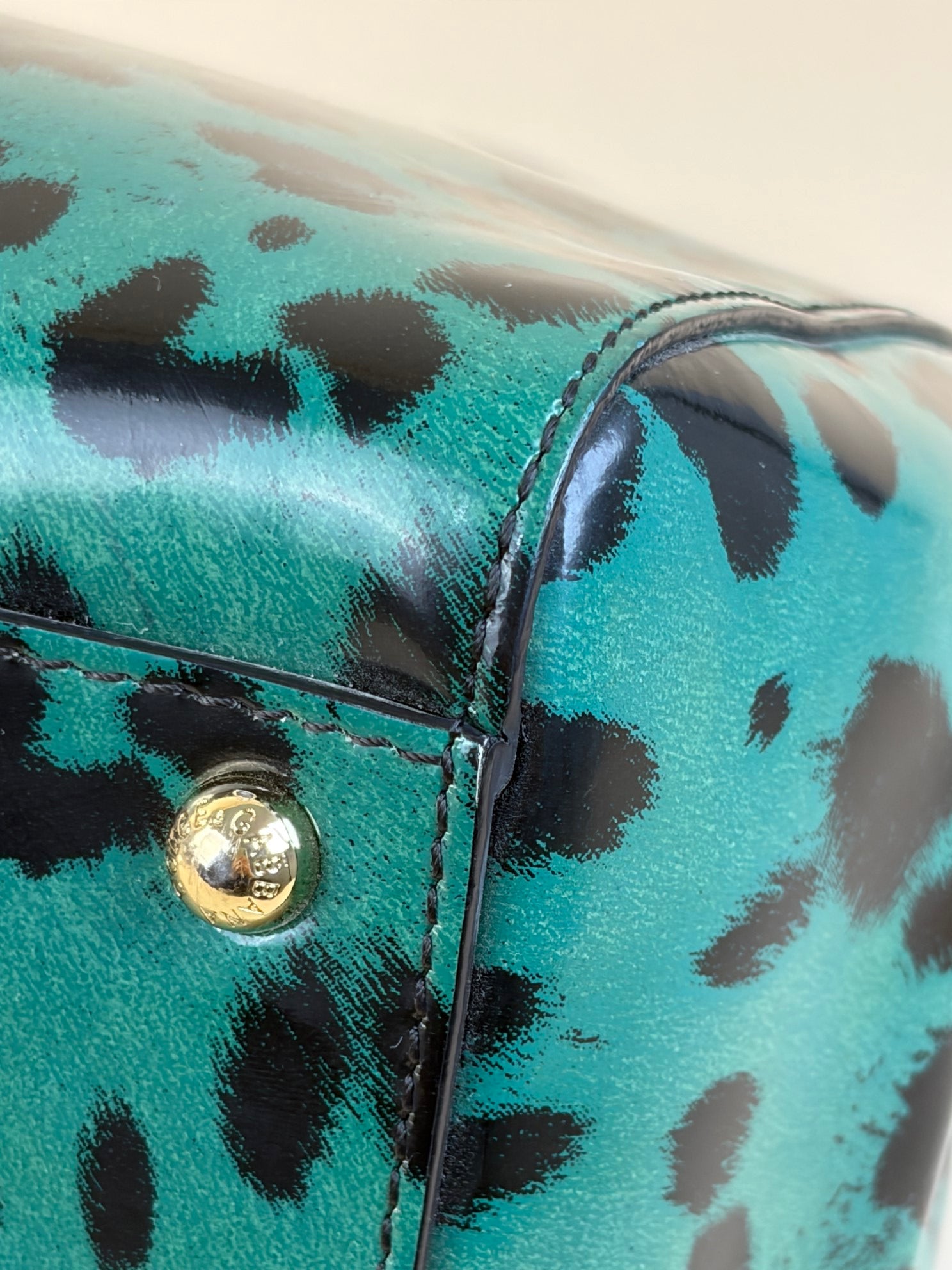 Dolce & Gabbana large green leopard Sicily handbag