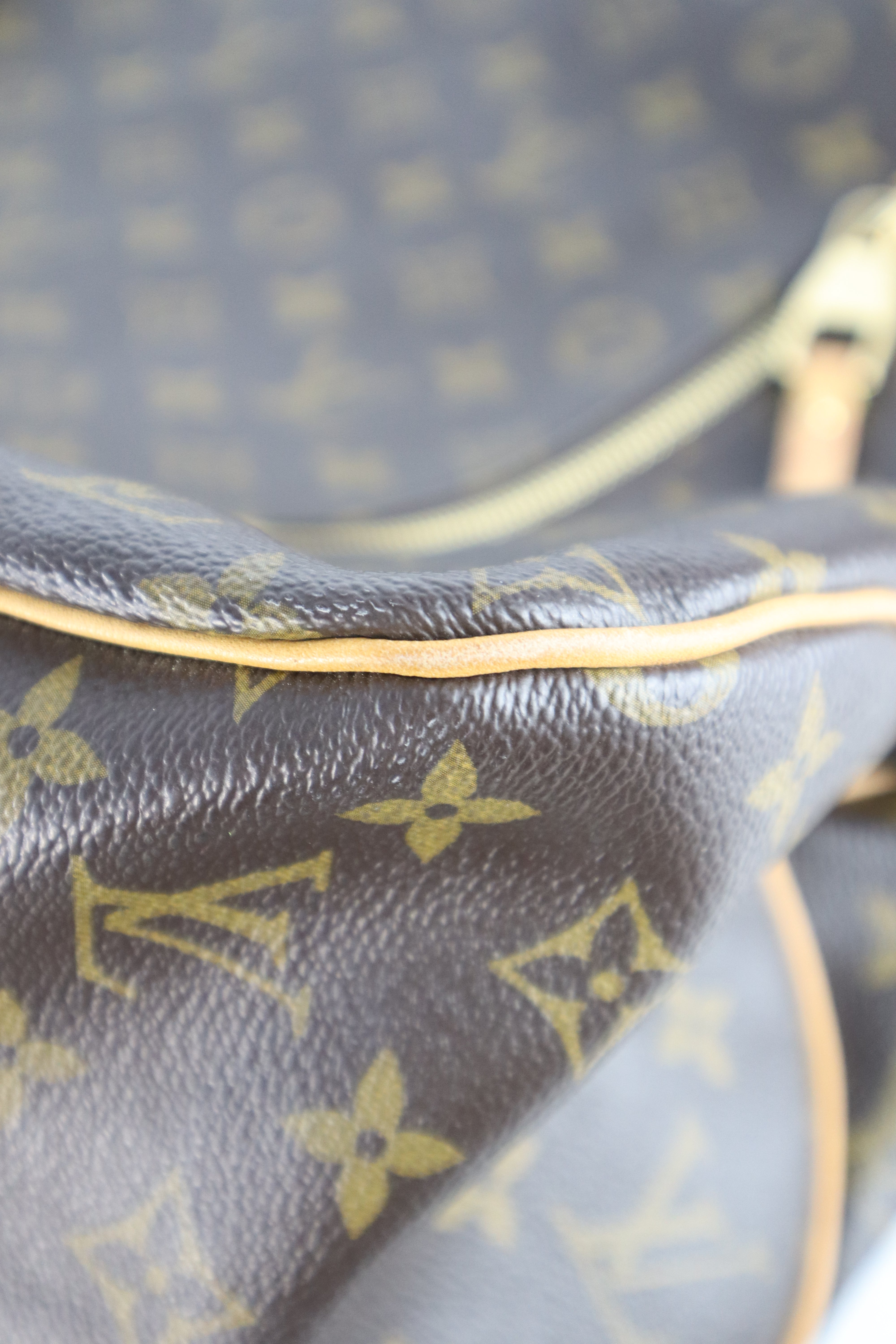 Louis Vuitton Monogram Delightful GM Bag