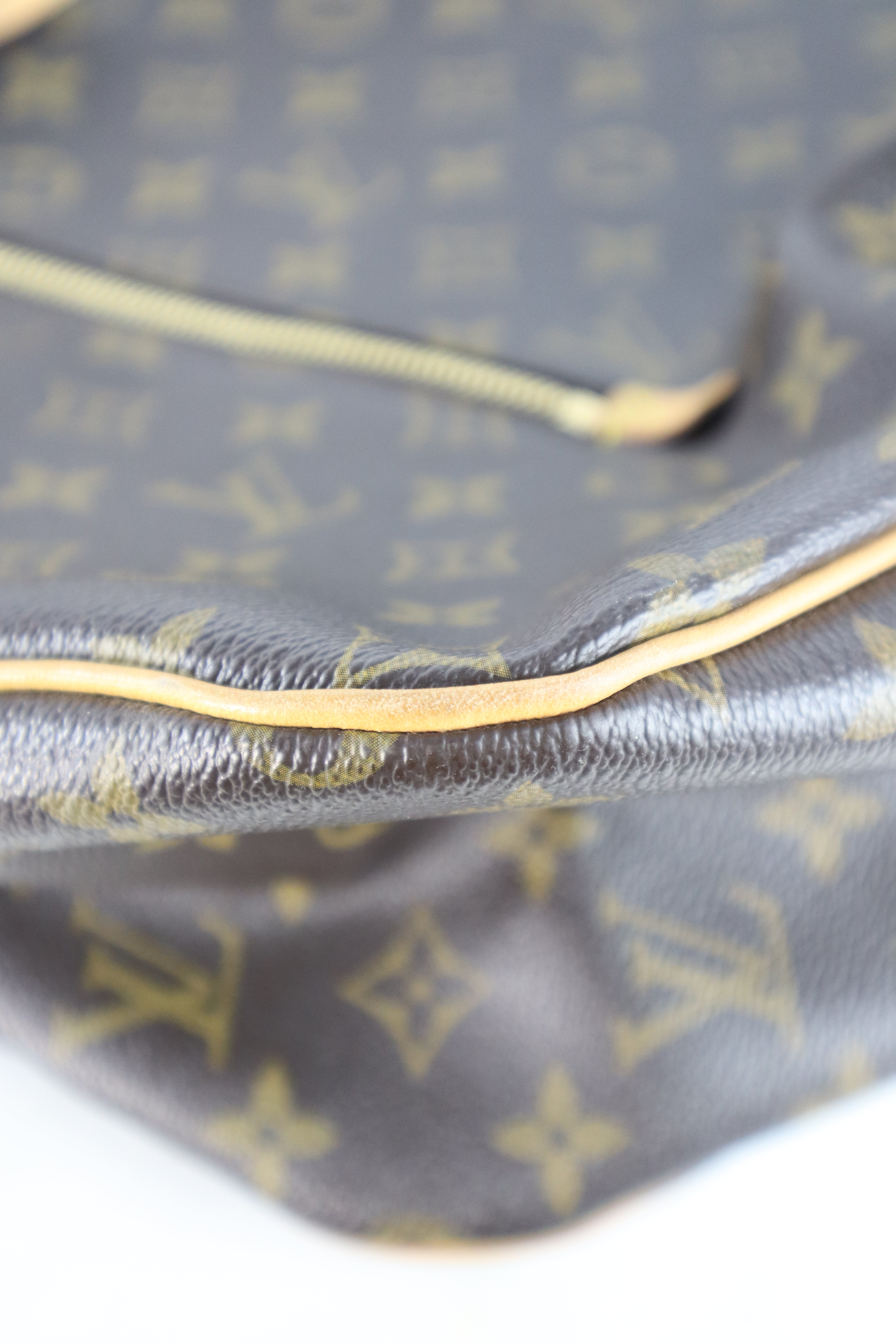 Louis Vuitton Monogram Delightful GM Bag