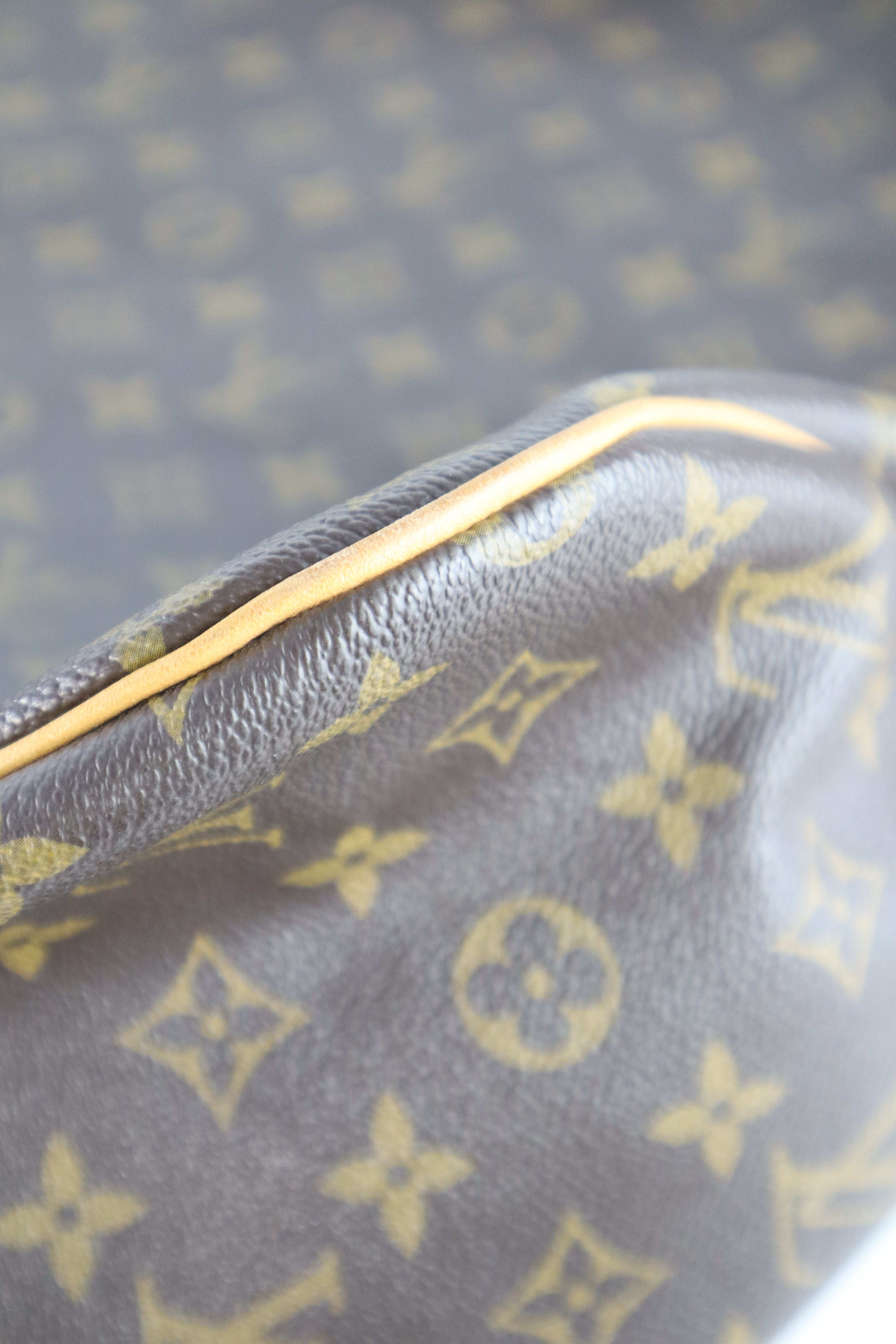 Louis Vuitton Monogram Delightful GM Bag