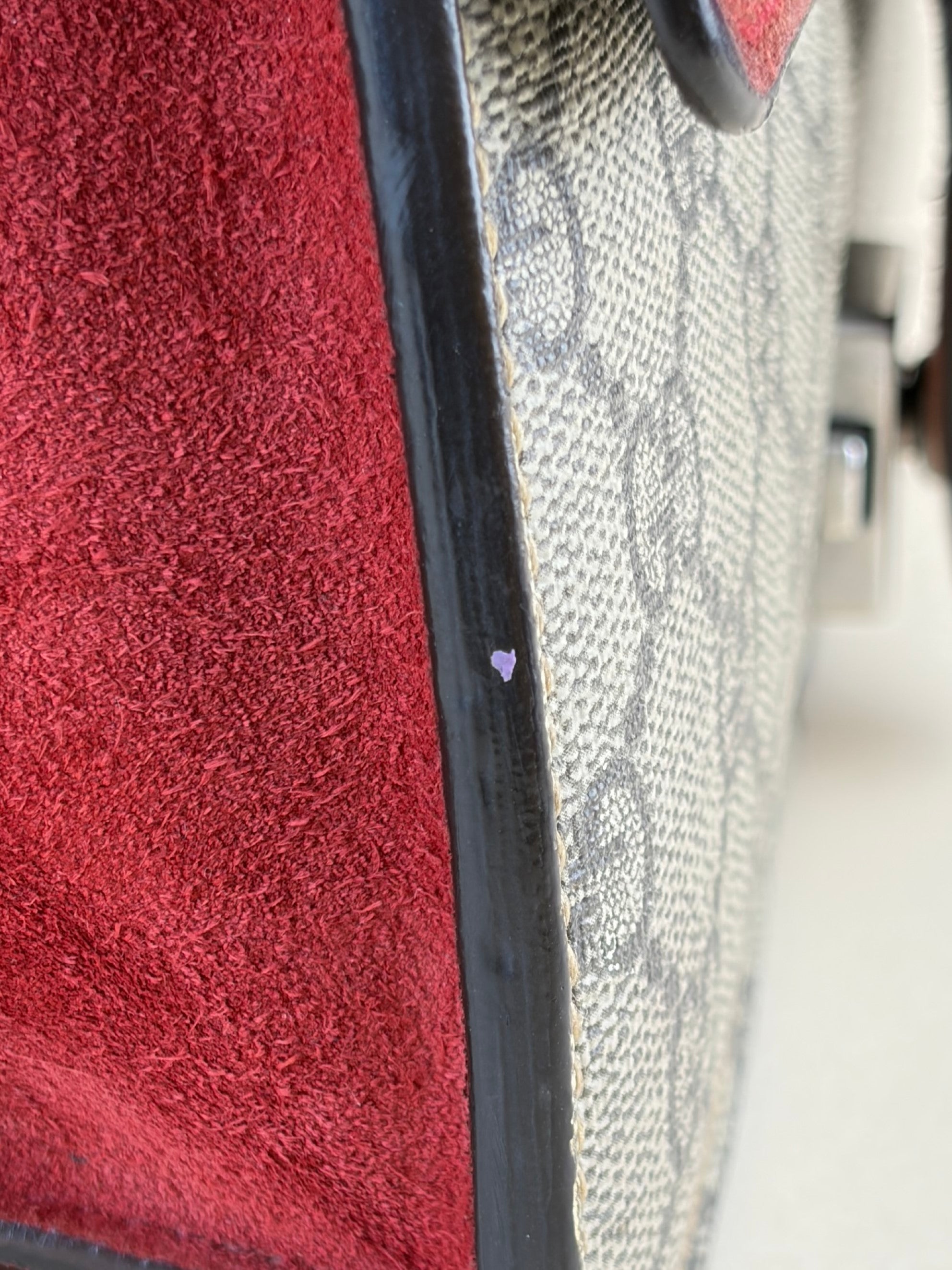 Gucci GG Supreme monogram and red canvas Dionysus crystal small bag