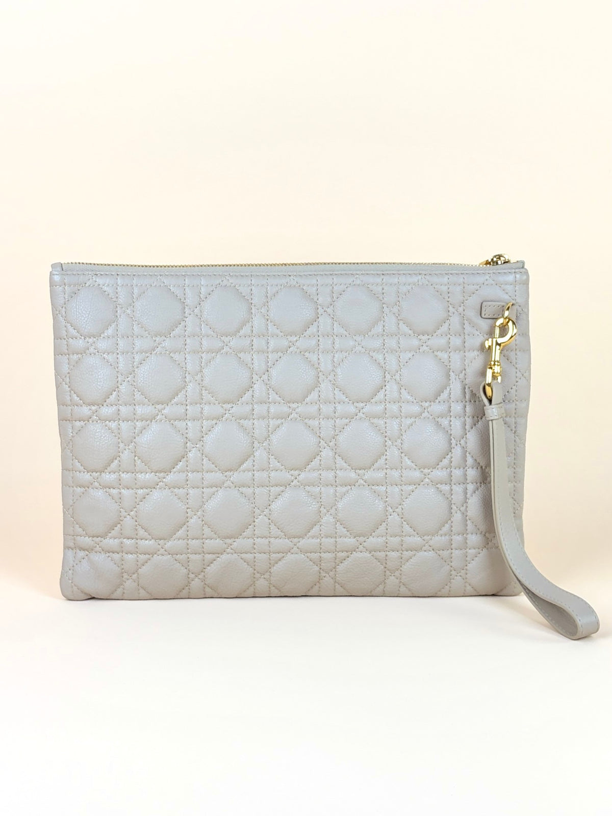 Dior caro daily large pouch Pouder beige
