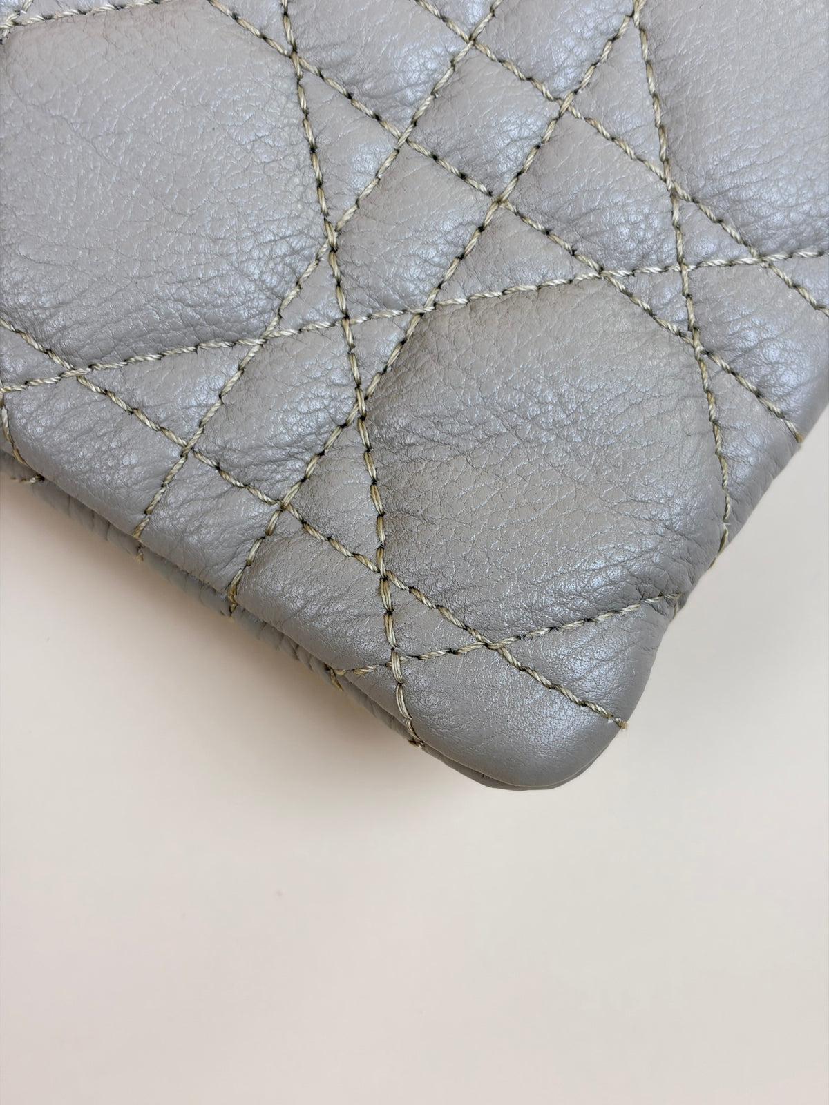 Dior caro daily large pouch Pouder beige
