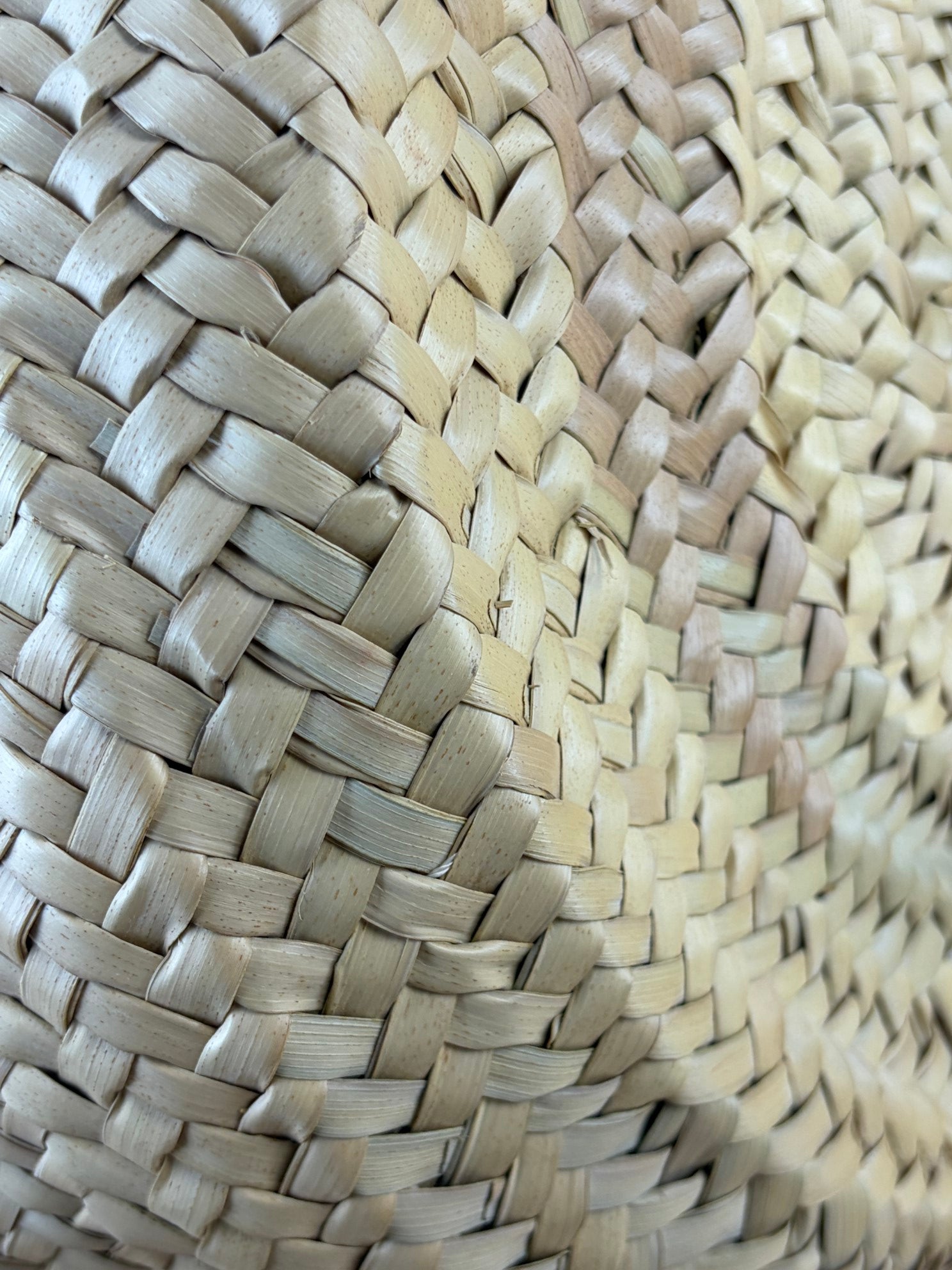 Dolce & Gabbana straw Kendra Baci wove in beige tote bag