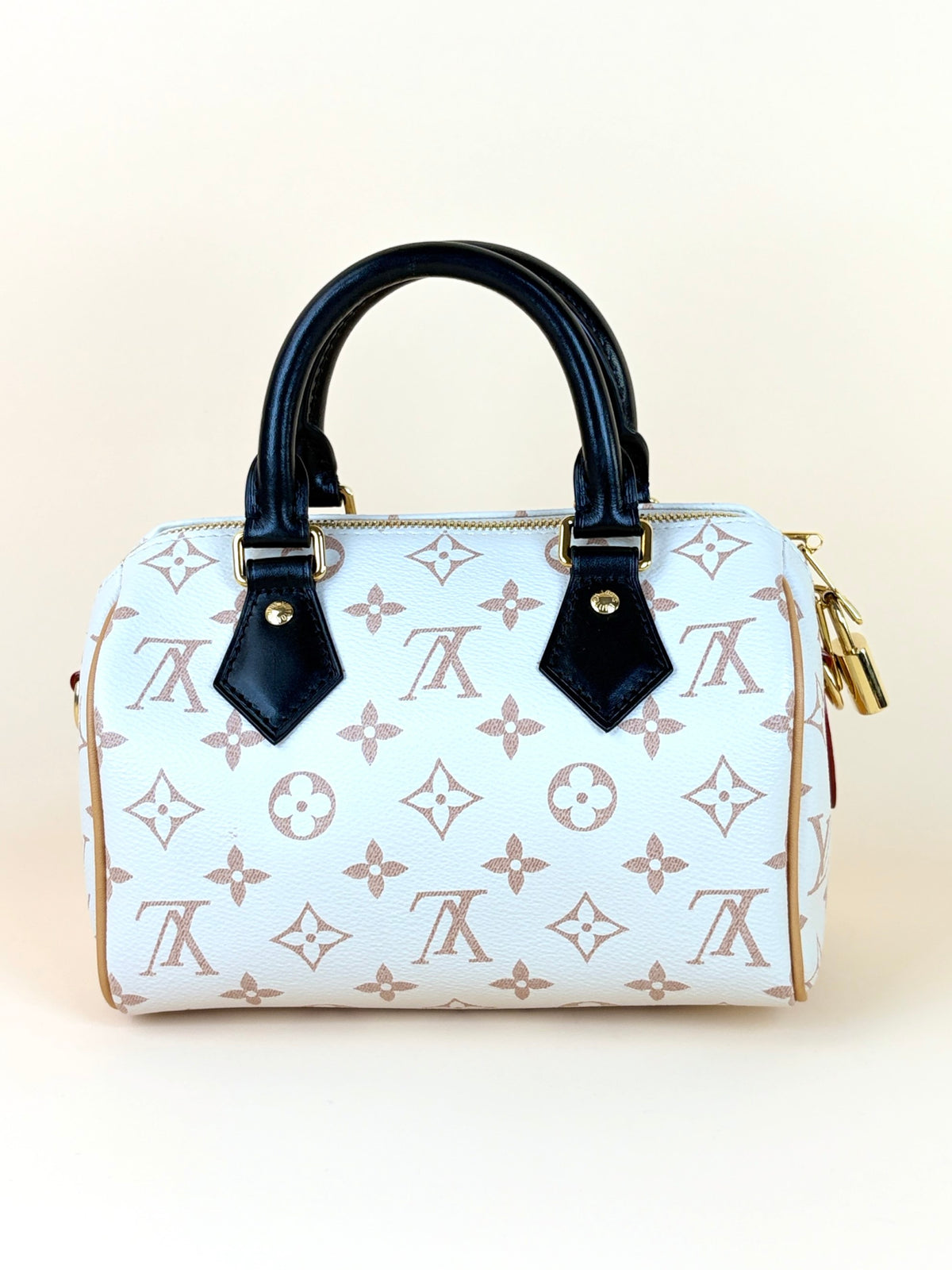 Louis Vuitton monogram dune speedy bandouliere 20