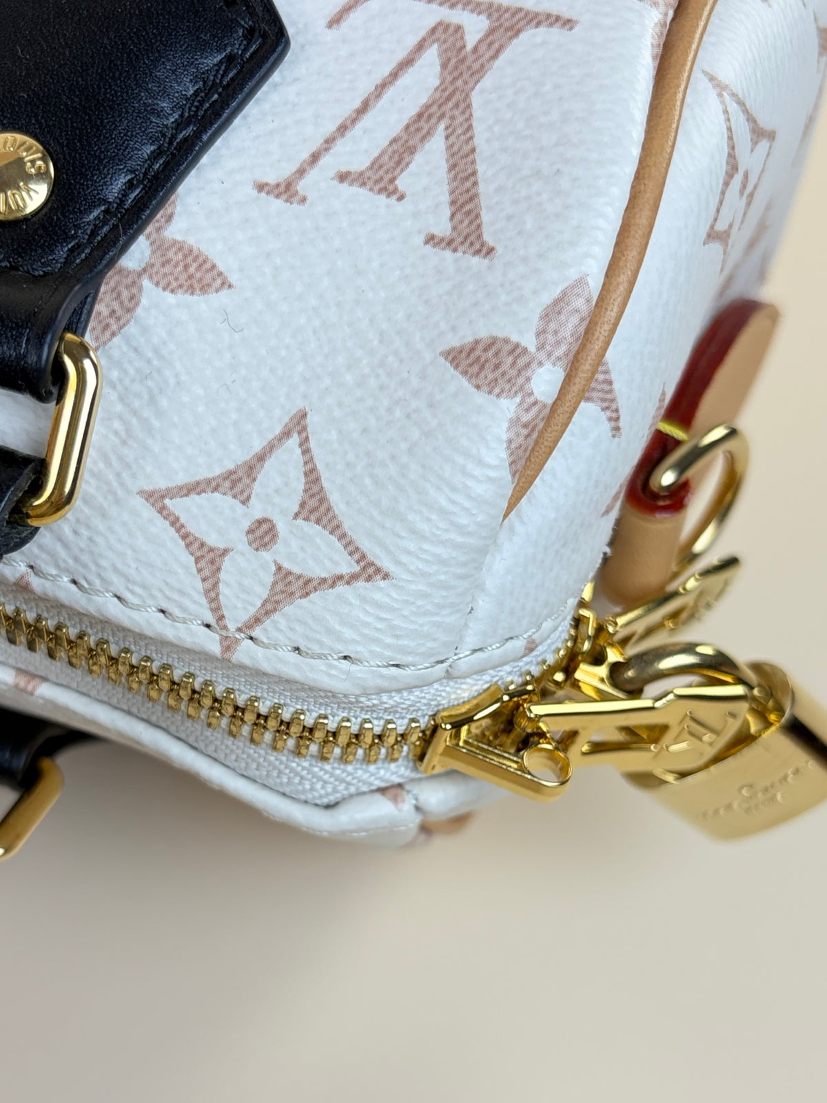 Louis Vuitton monogram dune speedy bandouliere 20