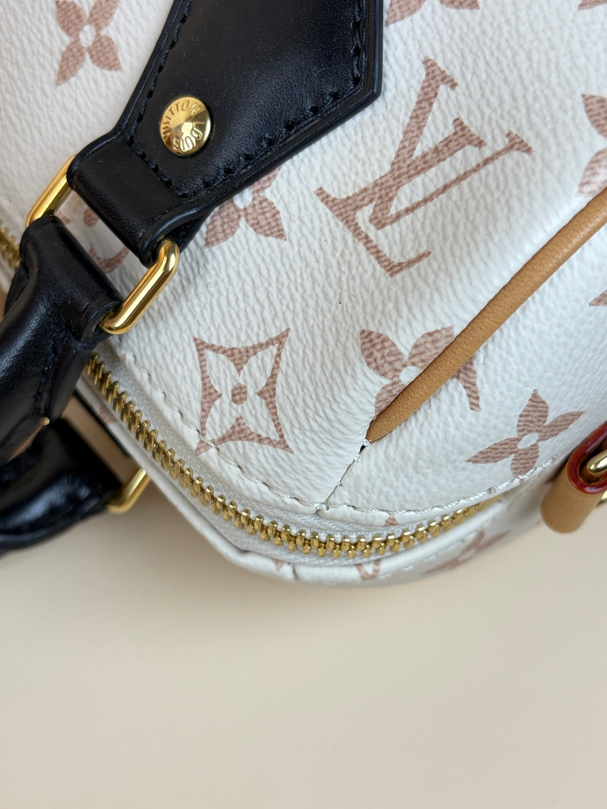 Louis Vuitton monogram dune speedy bandouliere 20