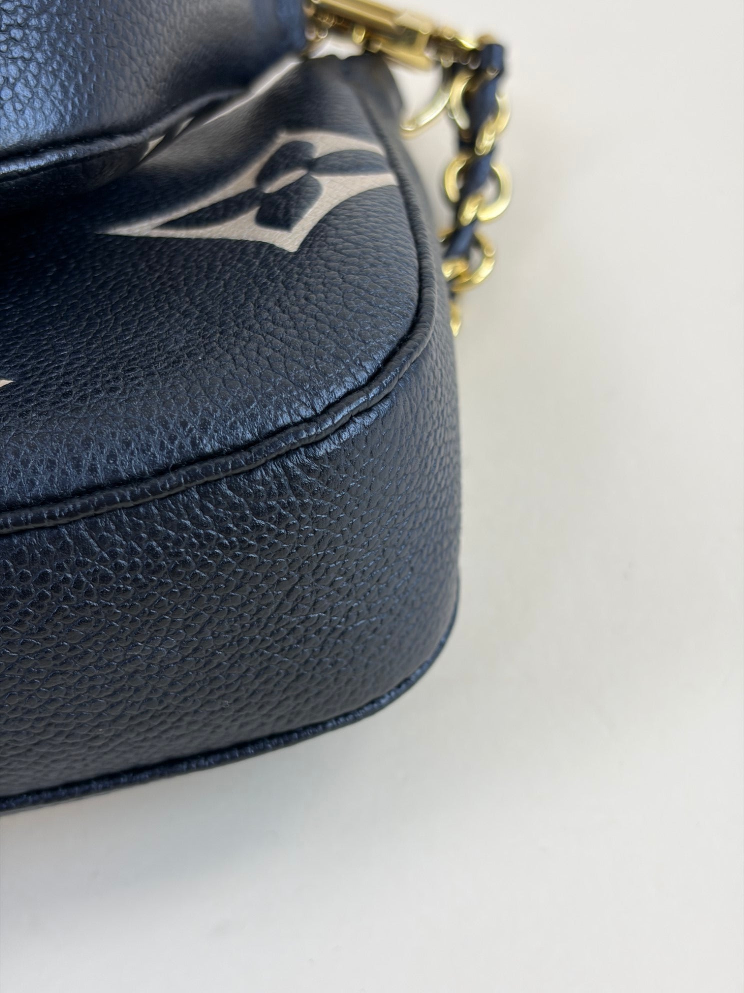 Louis Vuitton Bicolor Monogram Multi Pochette