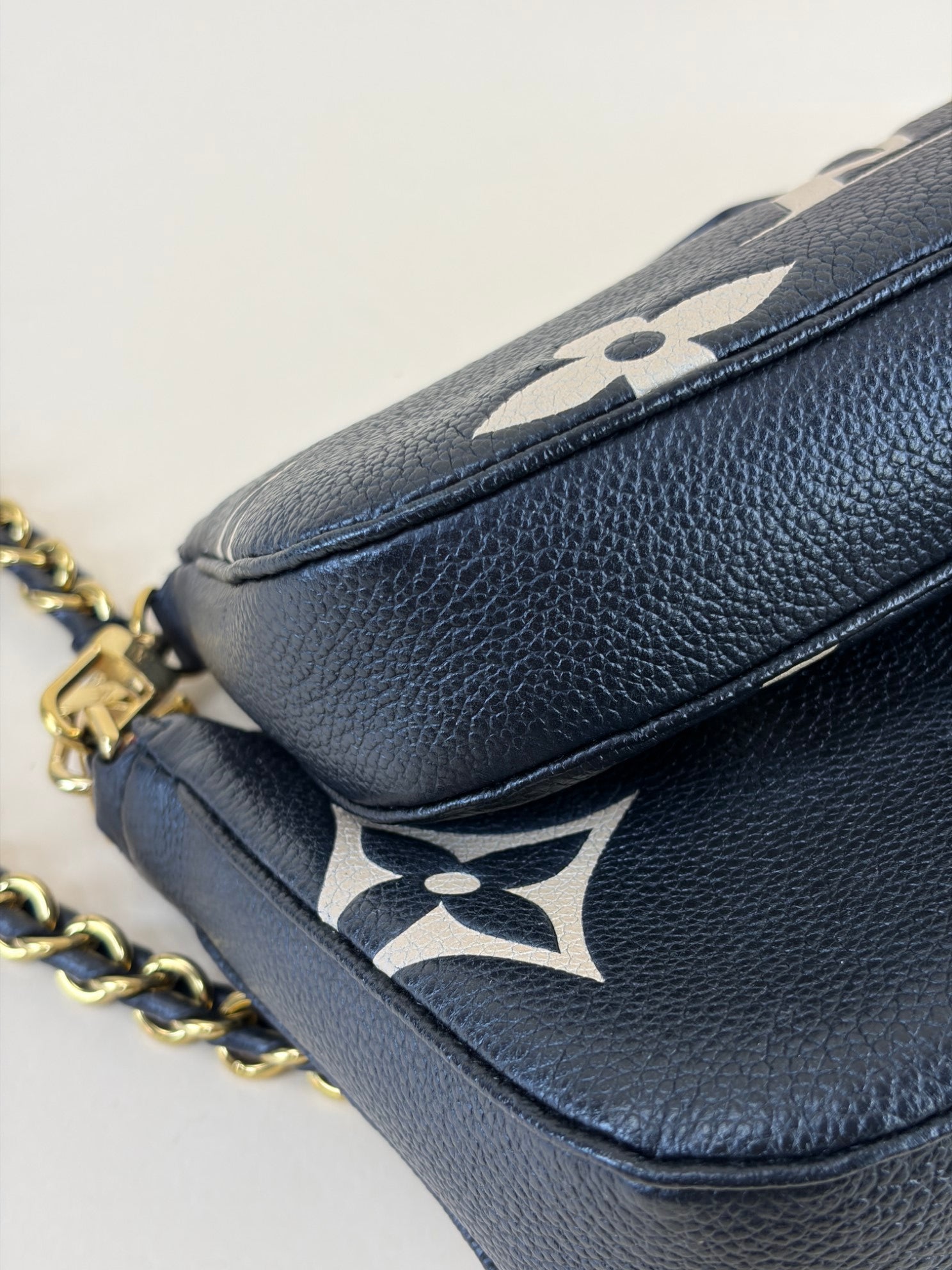 Louis Vuitton Bicolor Monogram Multi Pochette