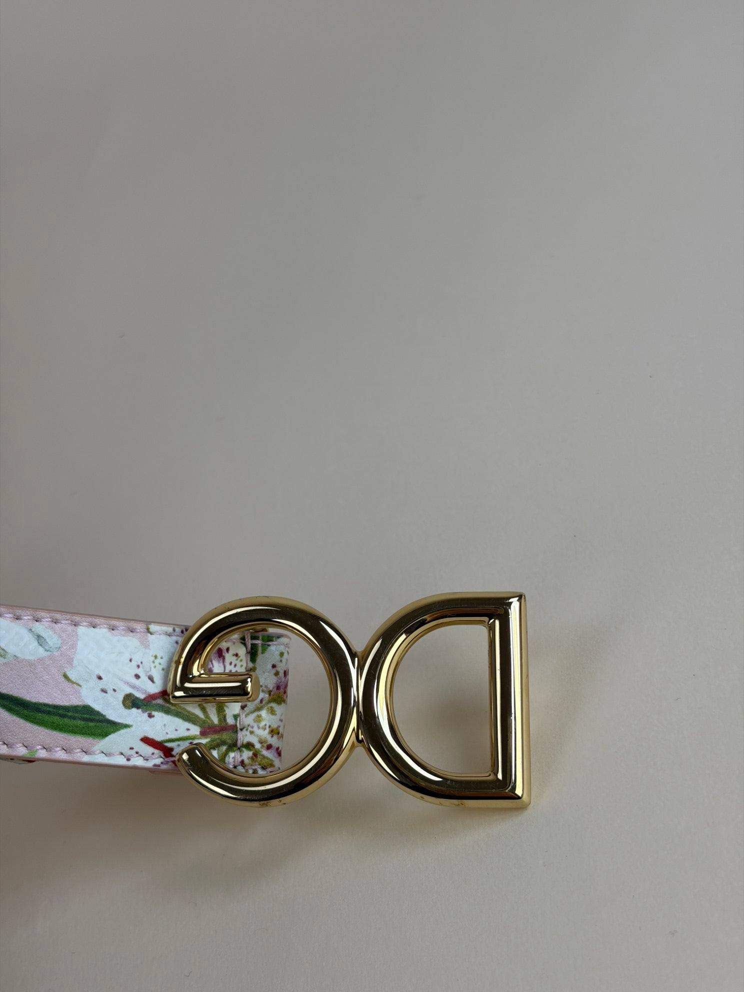Dolce & Gabbana Pink Lily Print Flower Logo D&G Belt 28